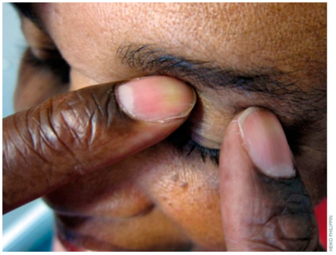 Engproc 59 00179 g003