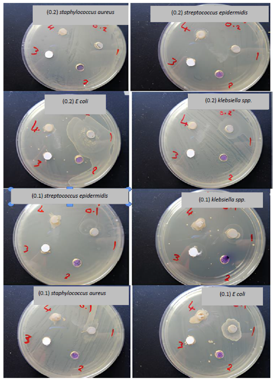 Engproc 59 00189 g003