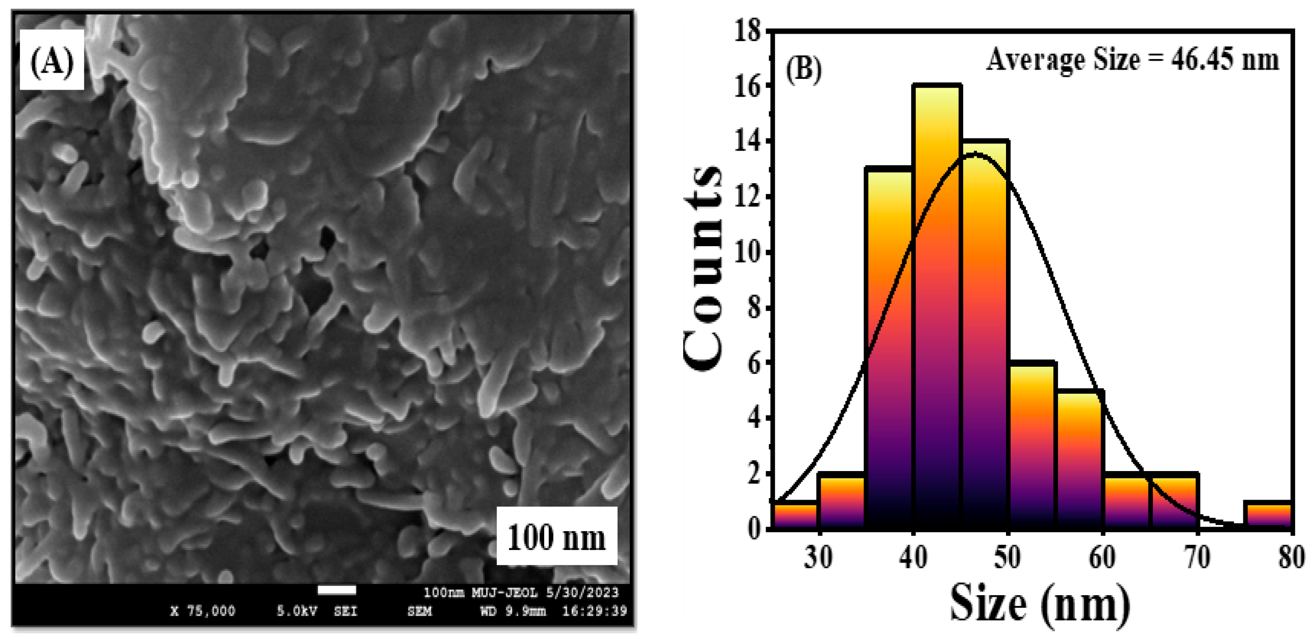 Engproc 59 00217 g006