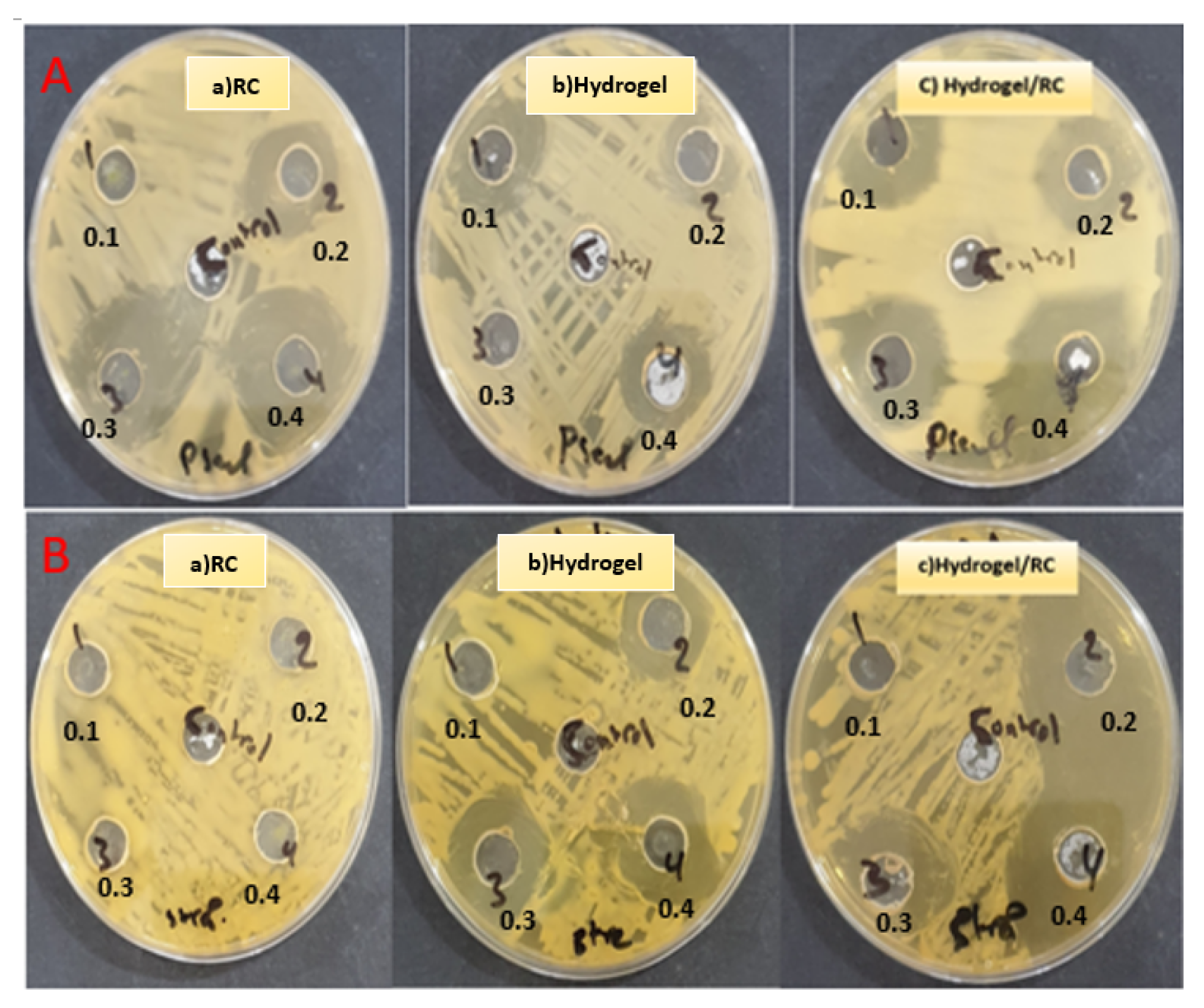 Engproc 59 00219 g003