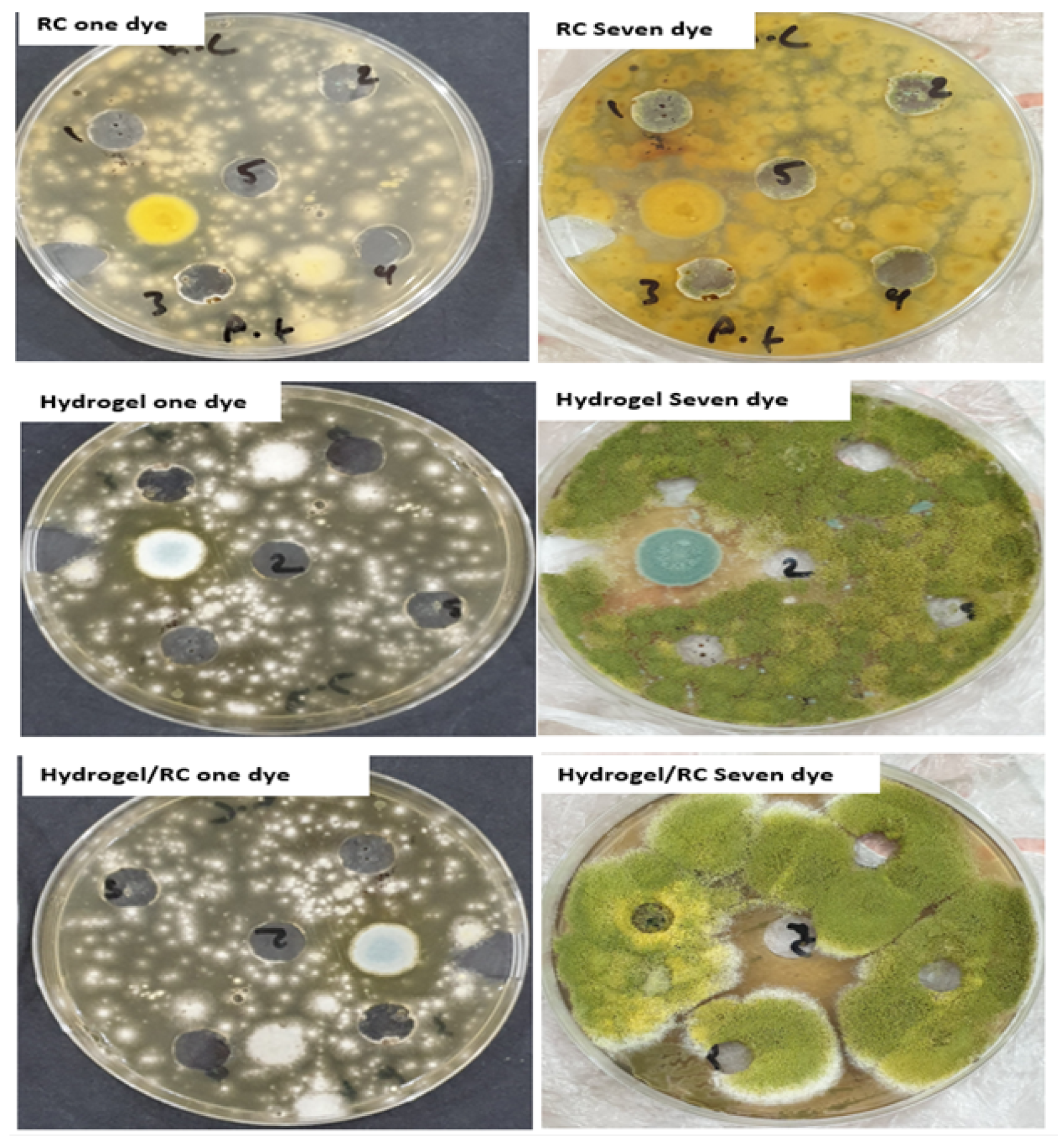 Engproc 59 00219 g004