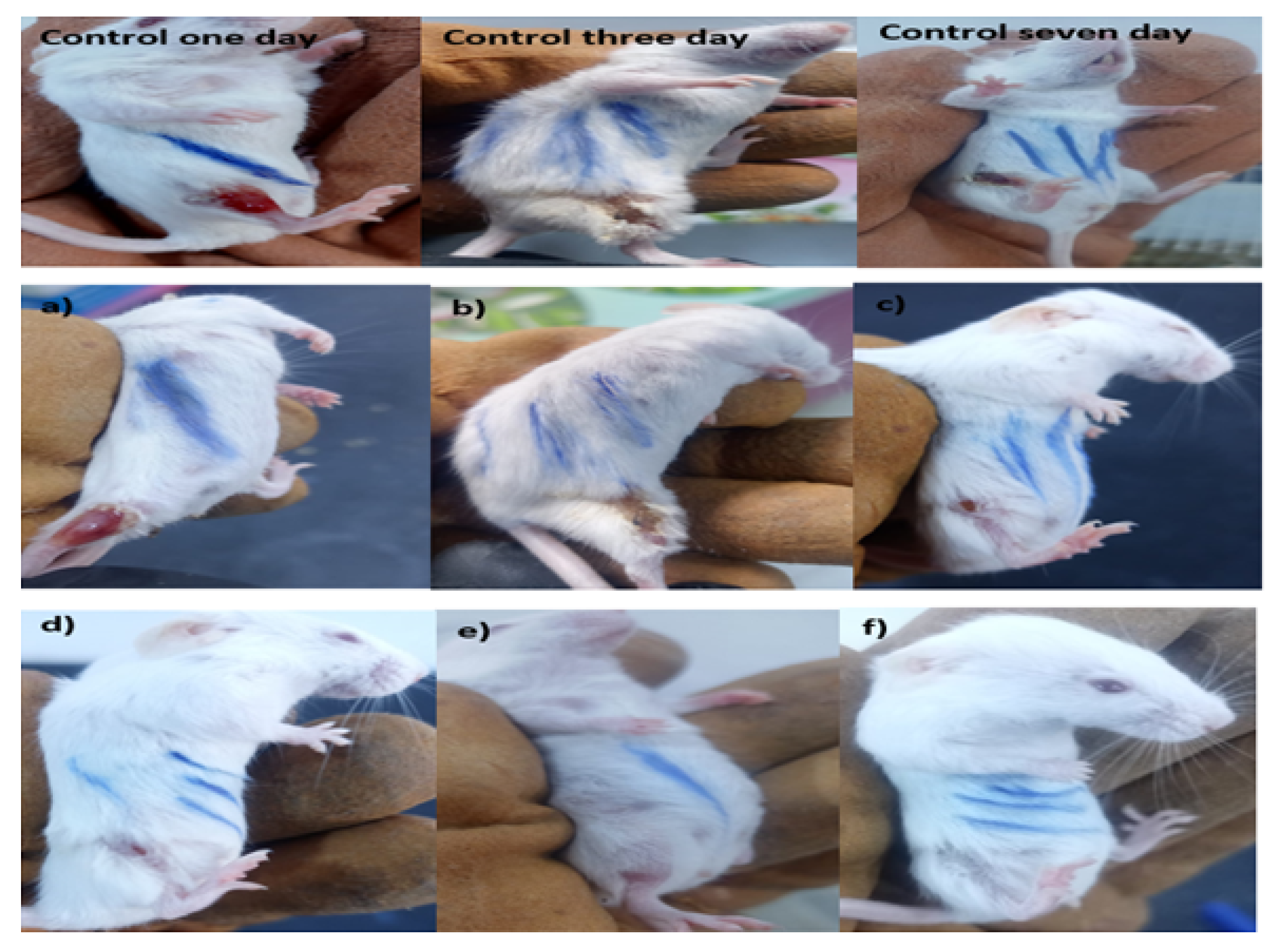 Engproc 59 00219 g006