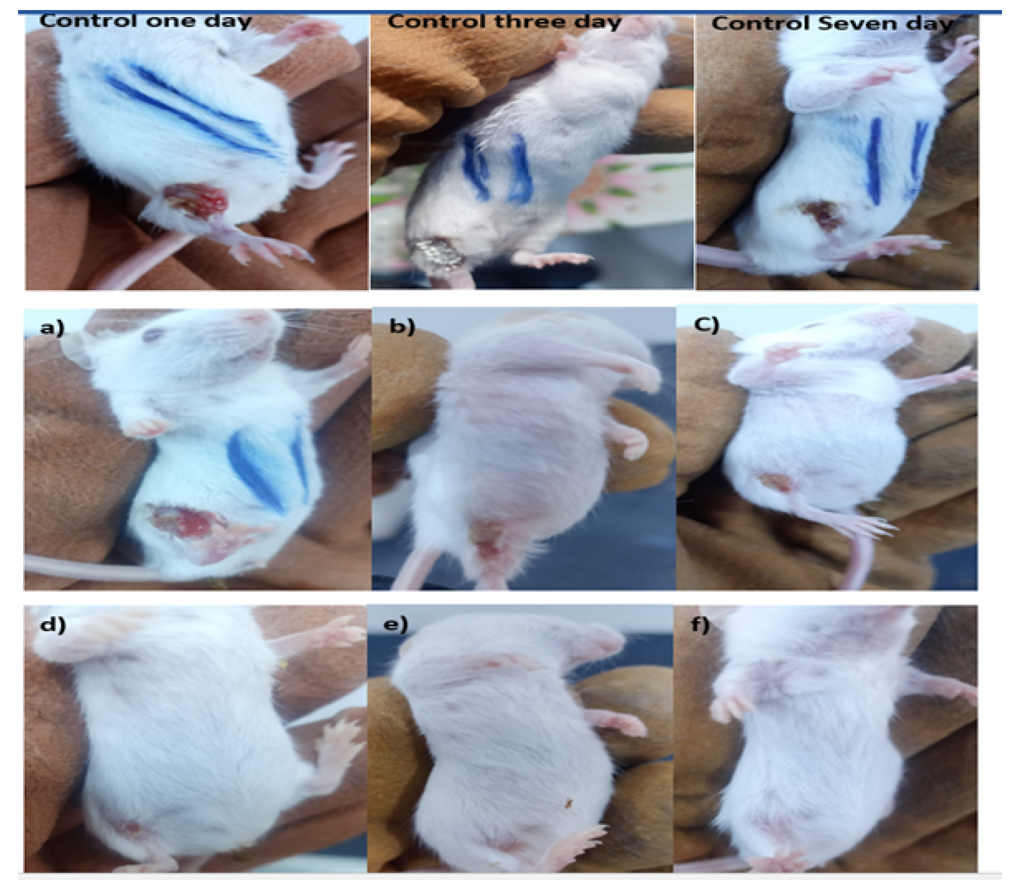 Engproc 59 00219 g007