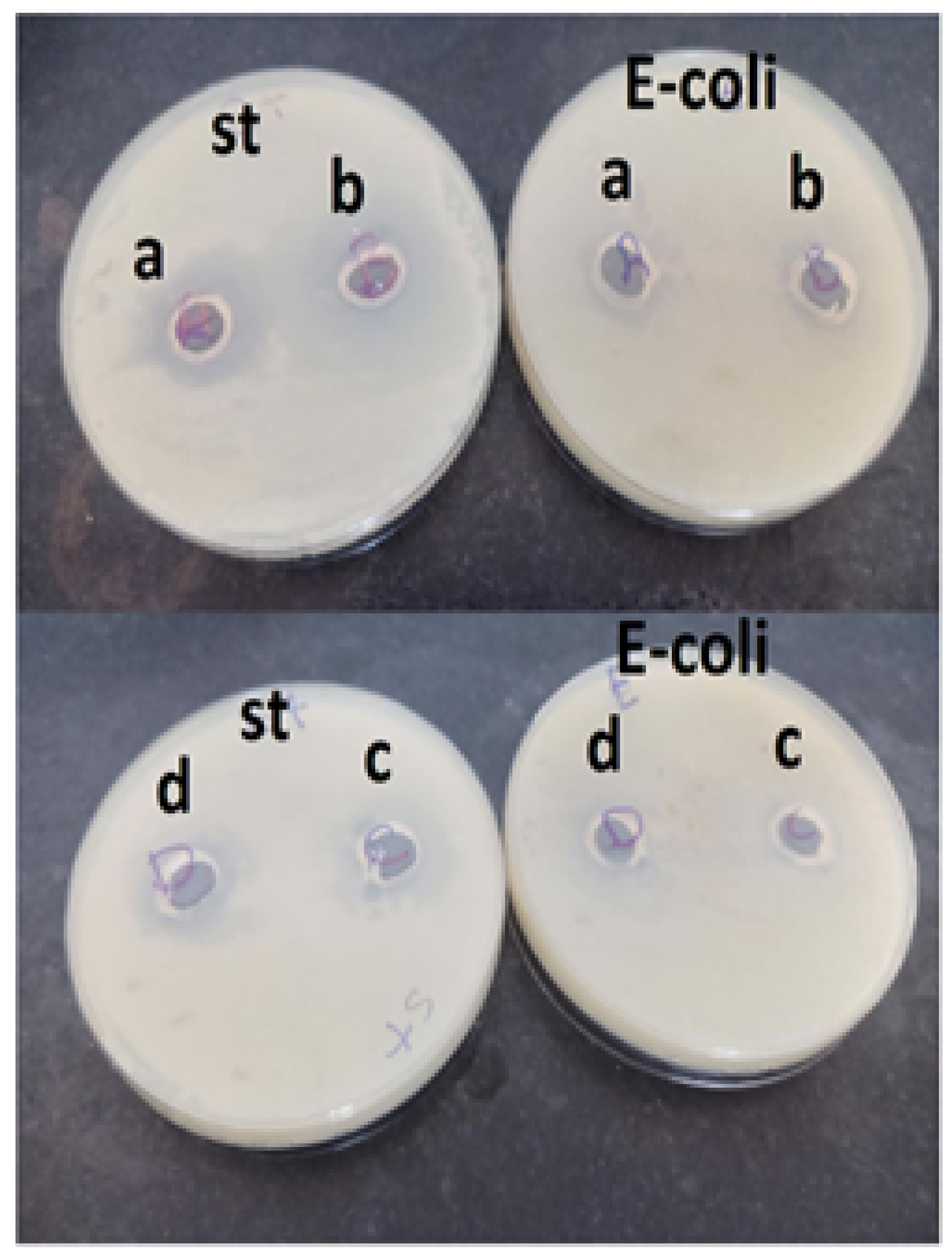 Engproc 59 00227 g011