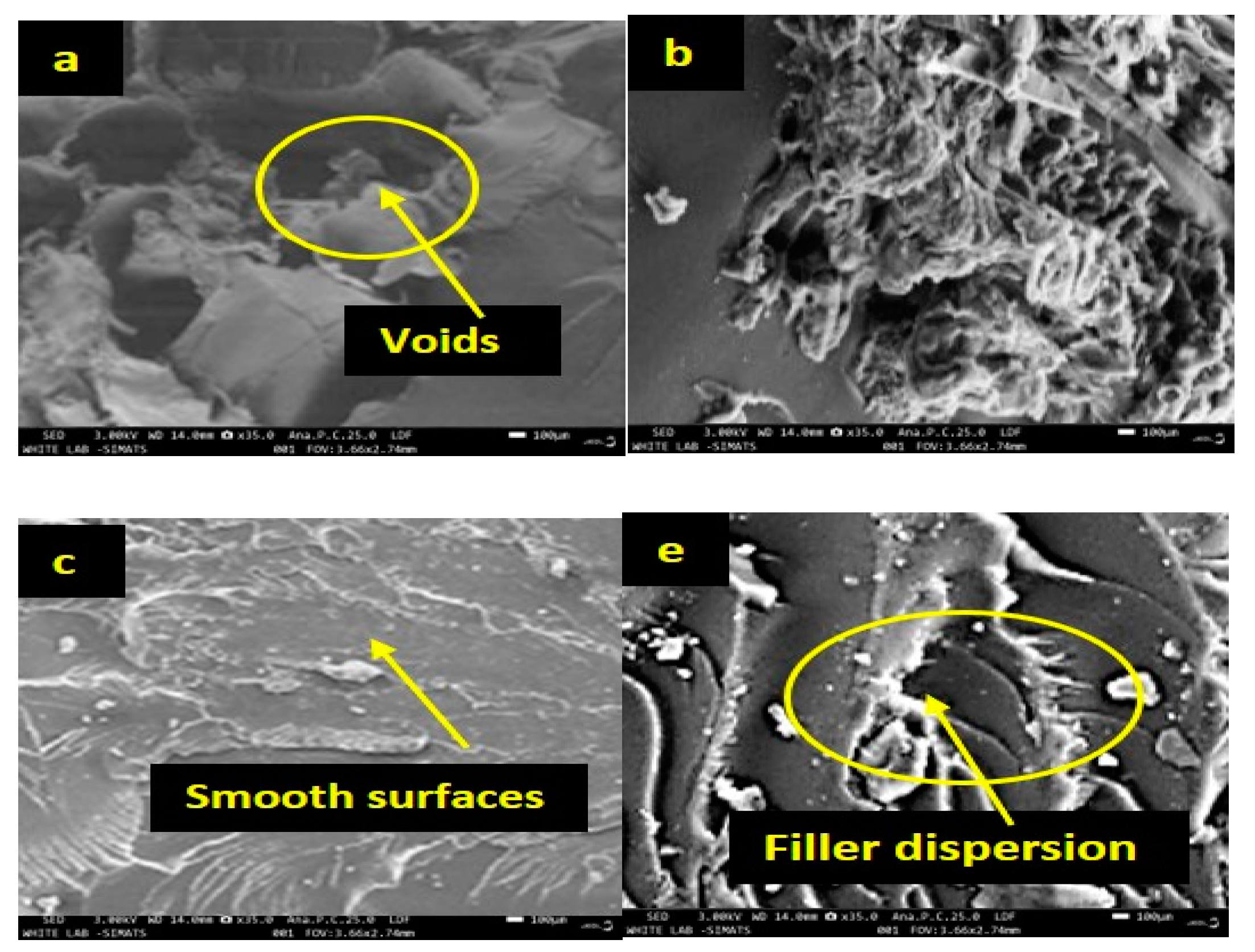 Engproc 61 00013 g006