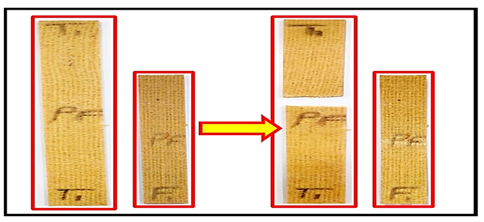 Engproc 61 00018 g001