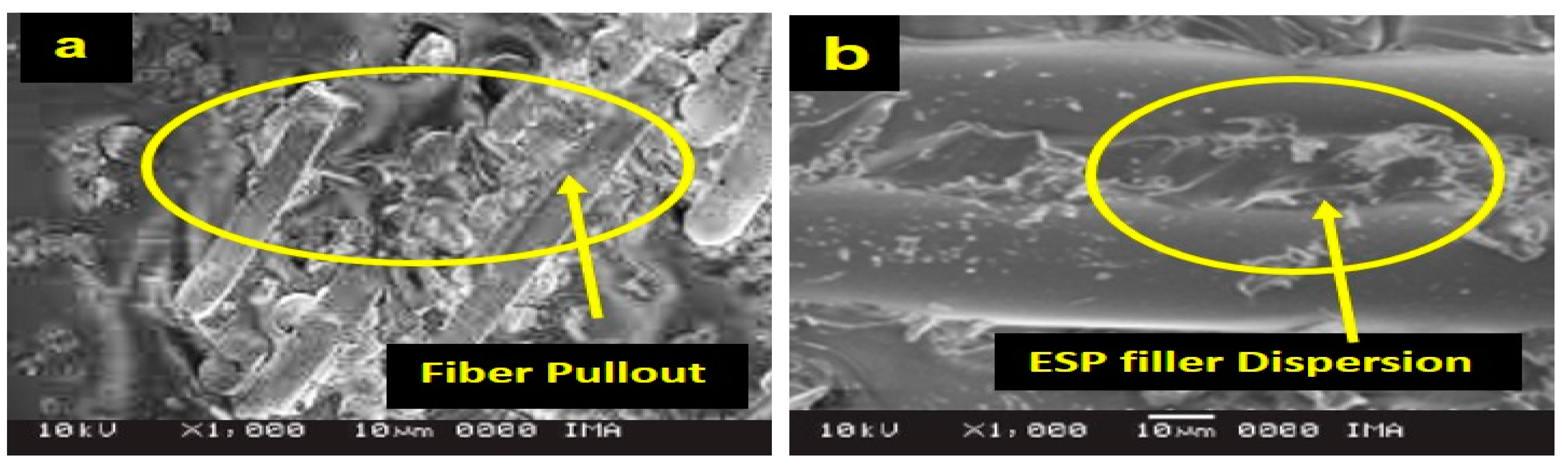 Engproc 61 00018 g005