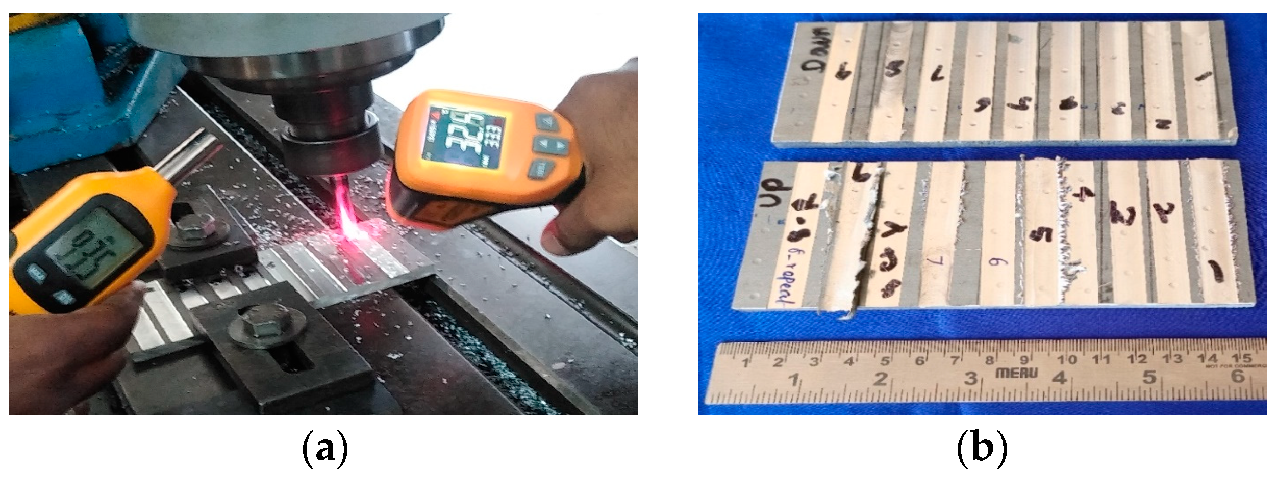 Engproc 61 00029 g001