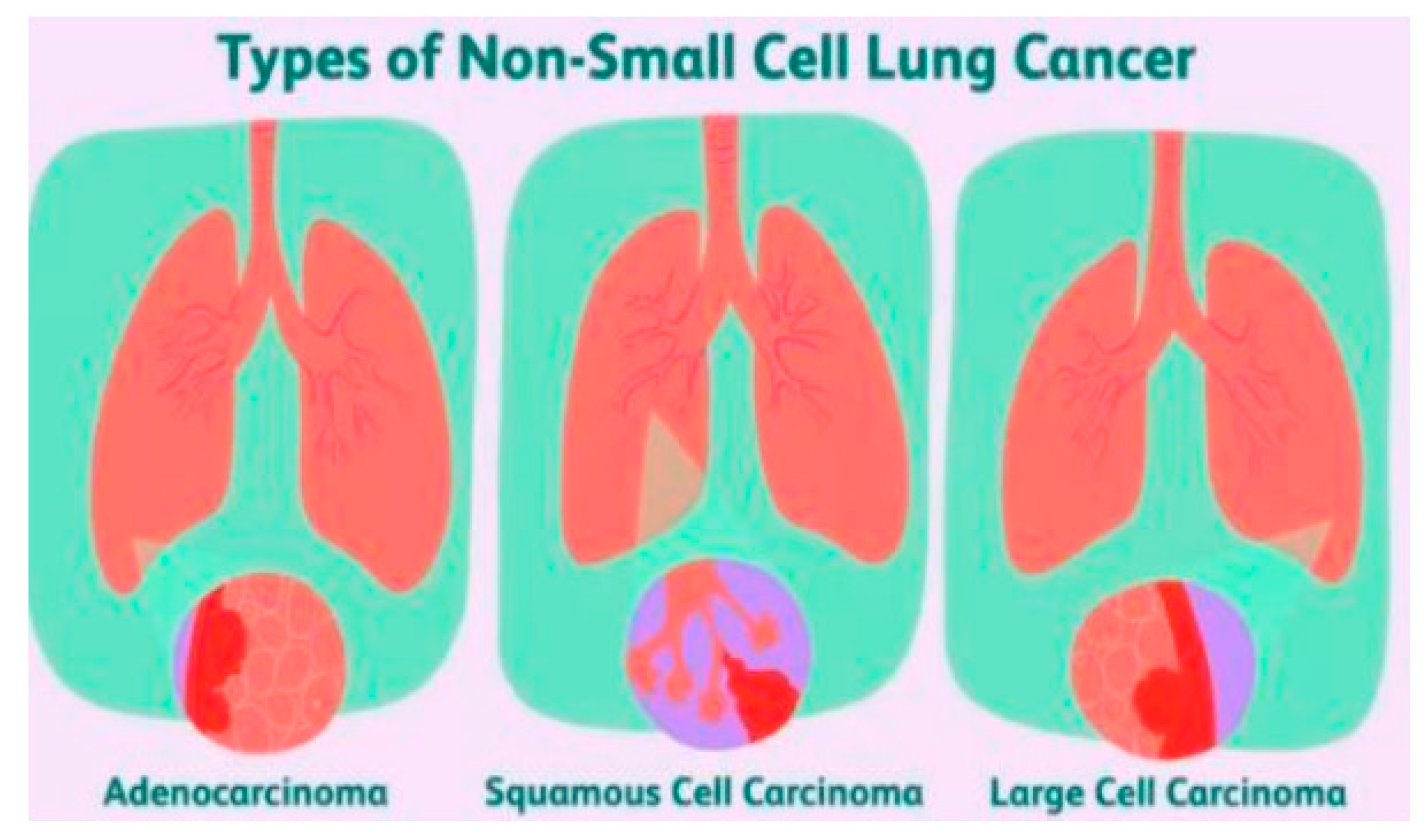 Engproc 62 00002 g001
