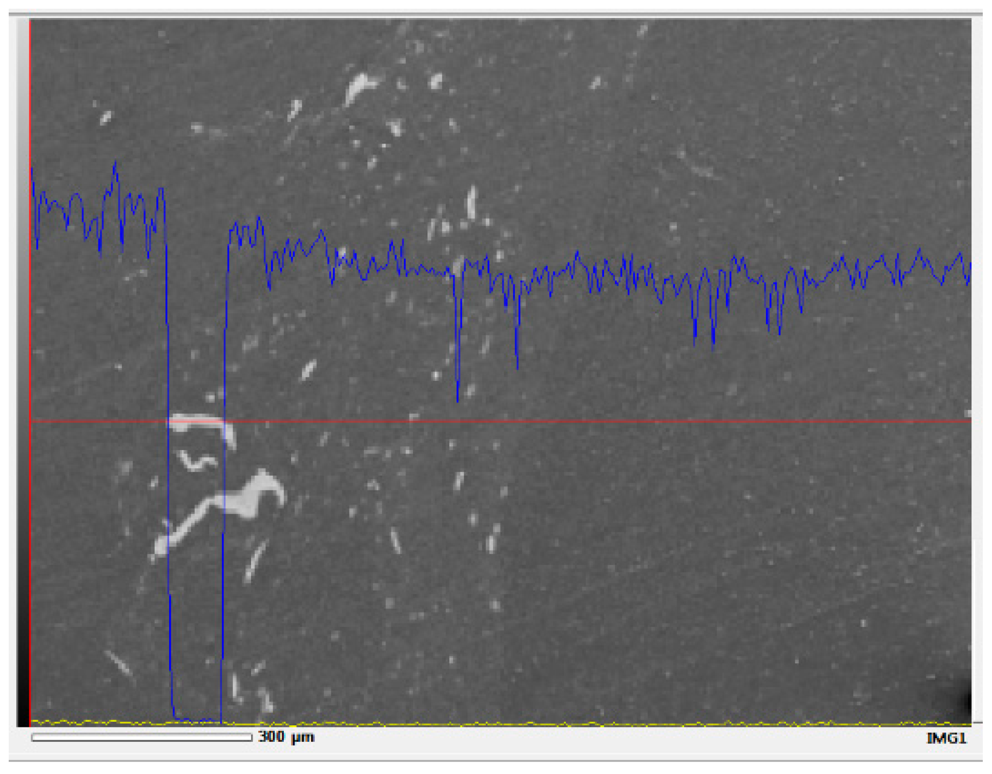 Engproc 63 00006 g004