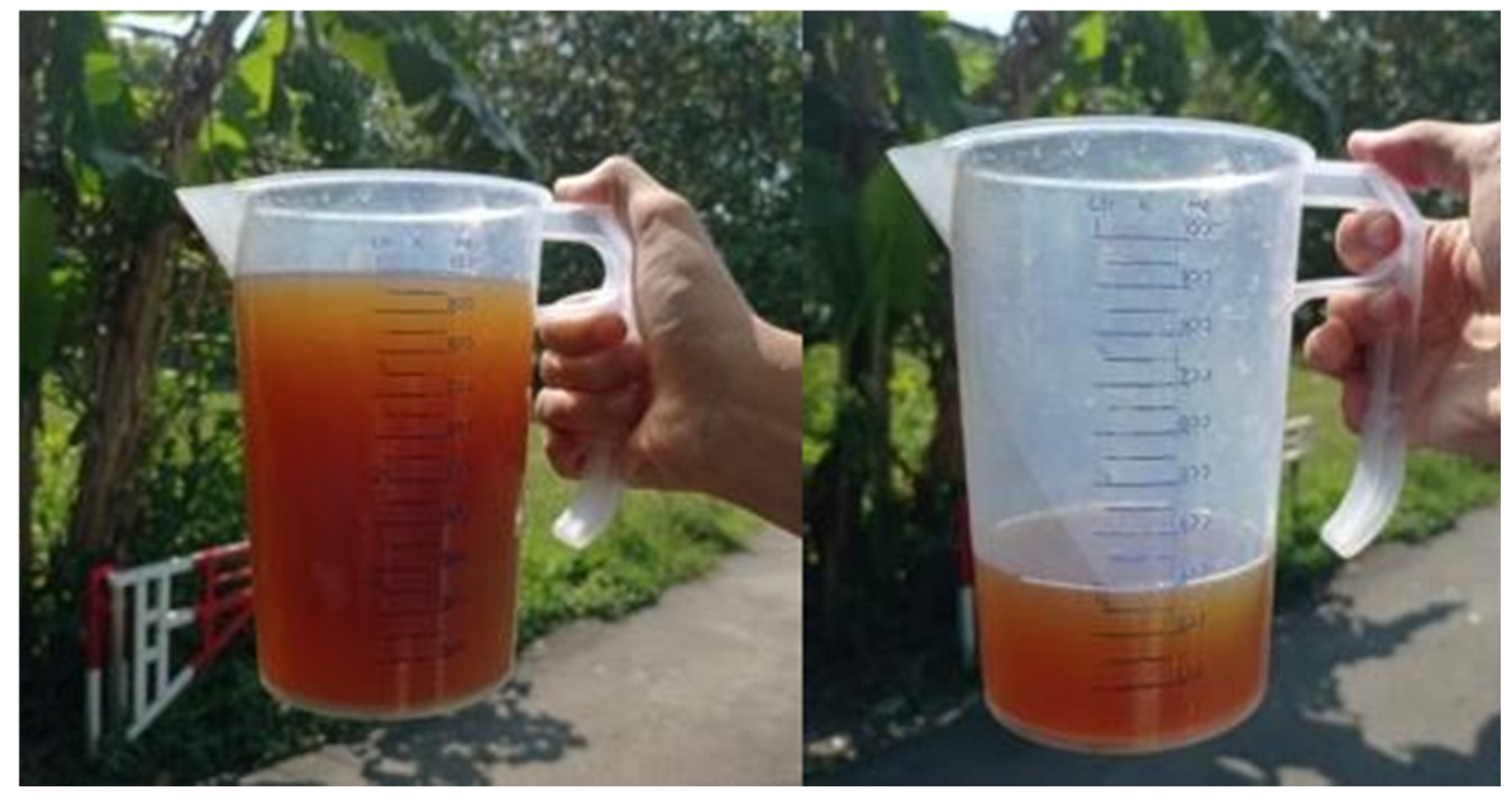 Engproc 63 00022 g004