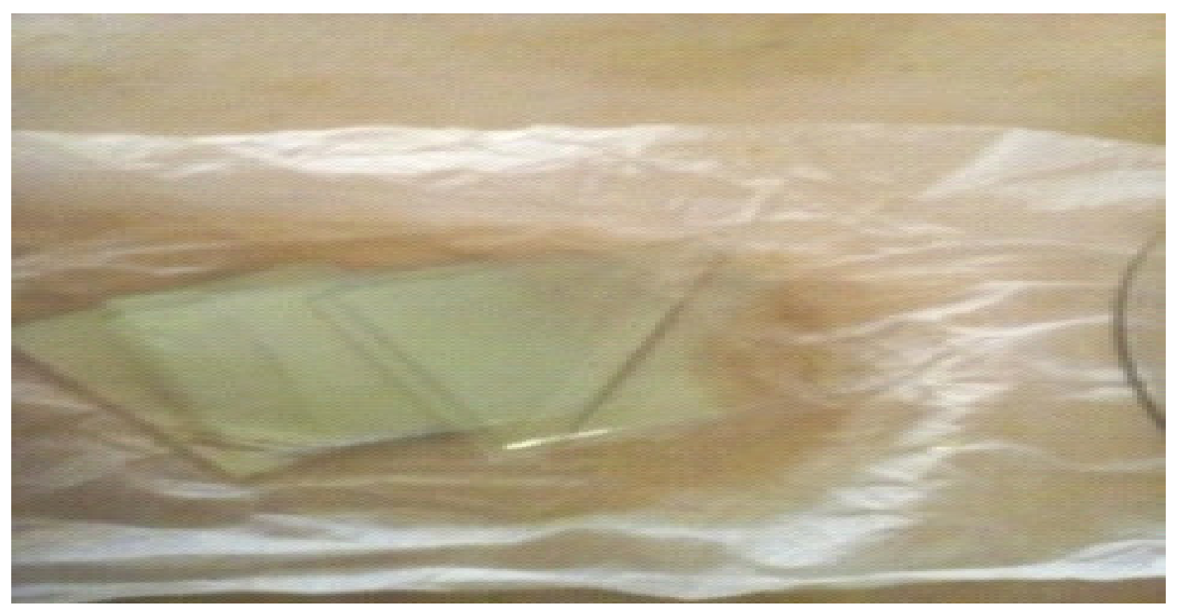 Engproc 63 00025 g006