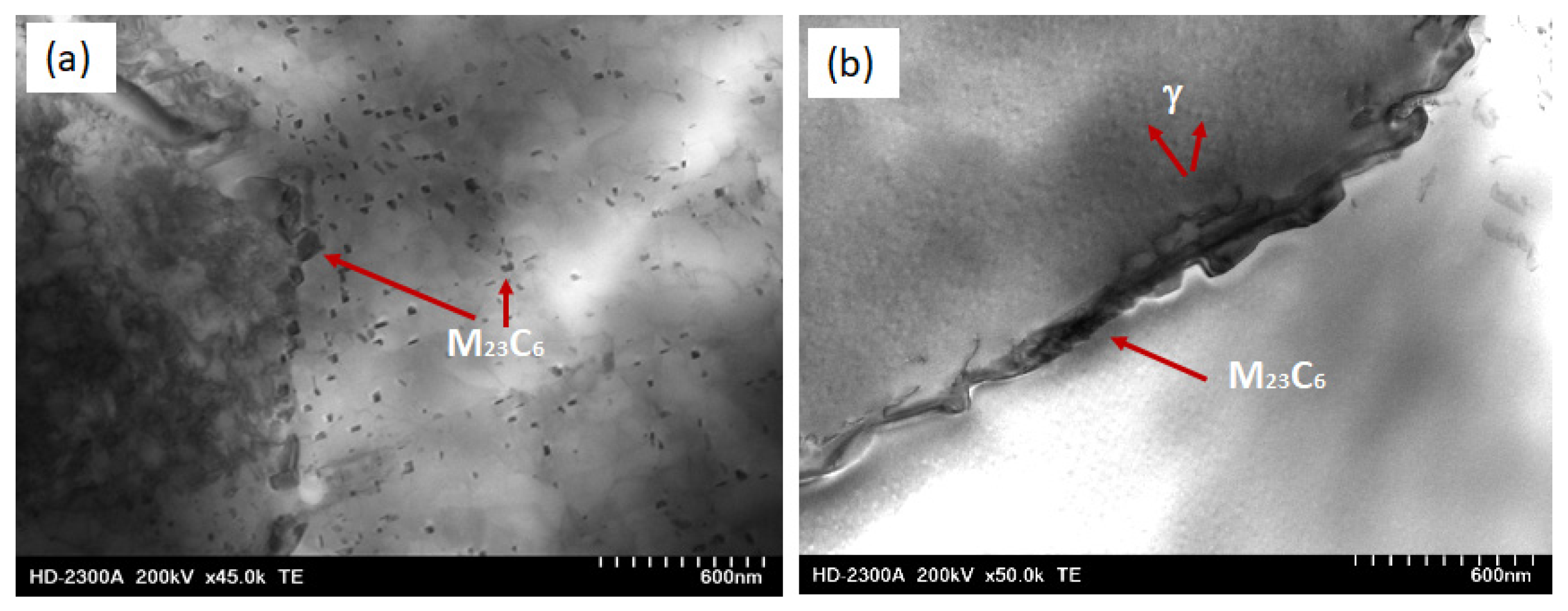 Engproc 64 00012 g004