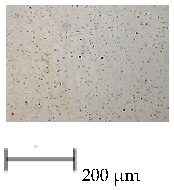 Engproc 66 00032 g003