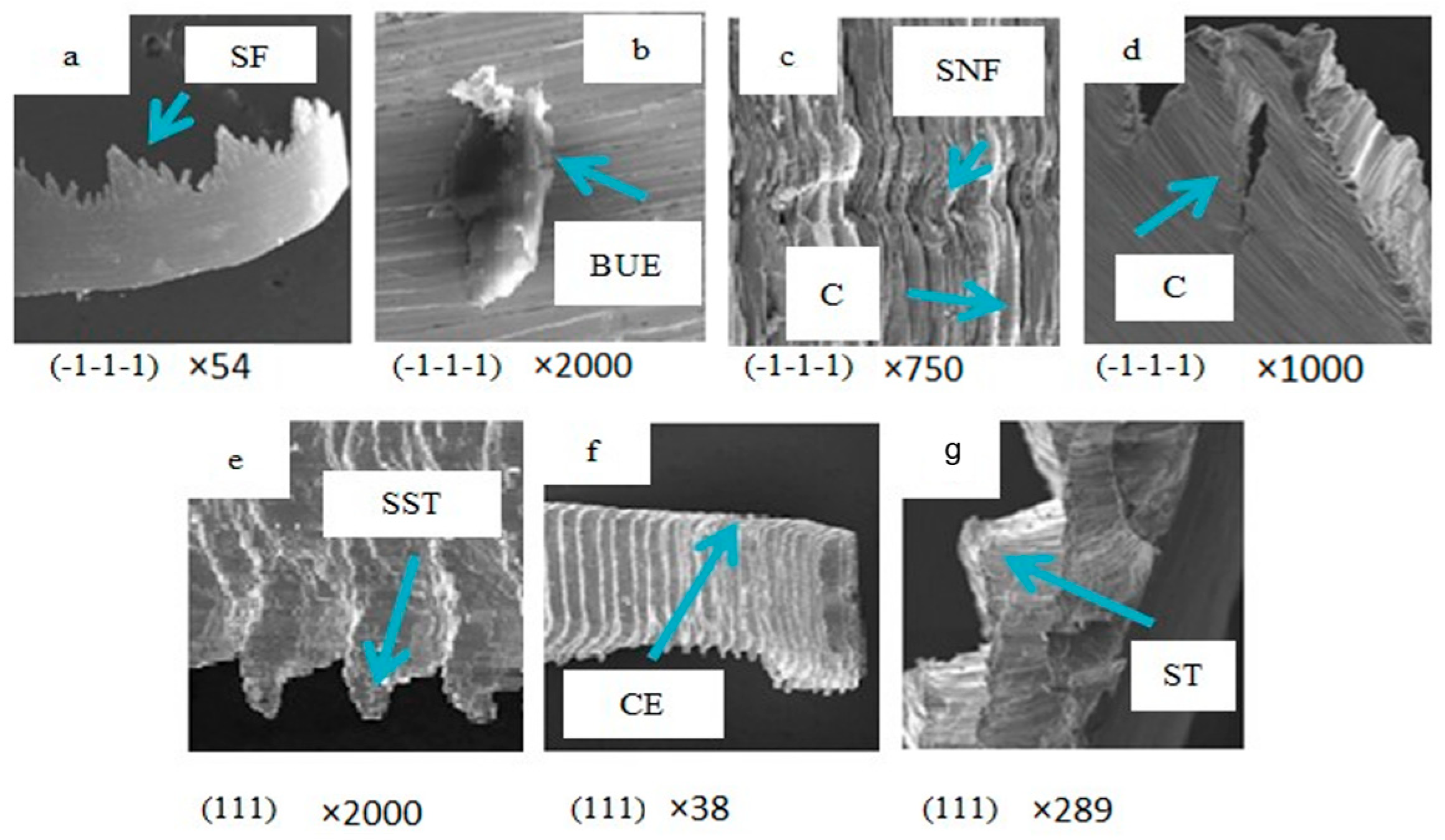 Engproc 66 00032 g005