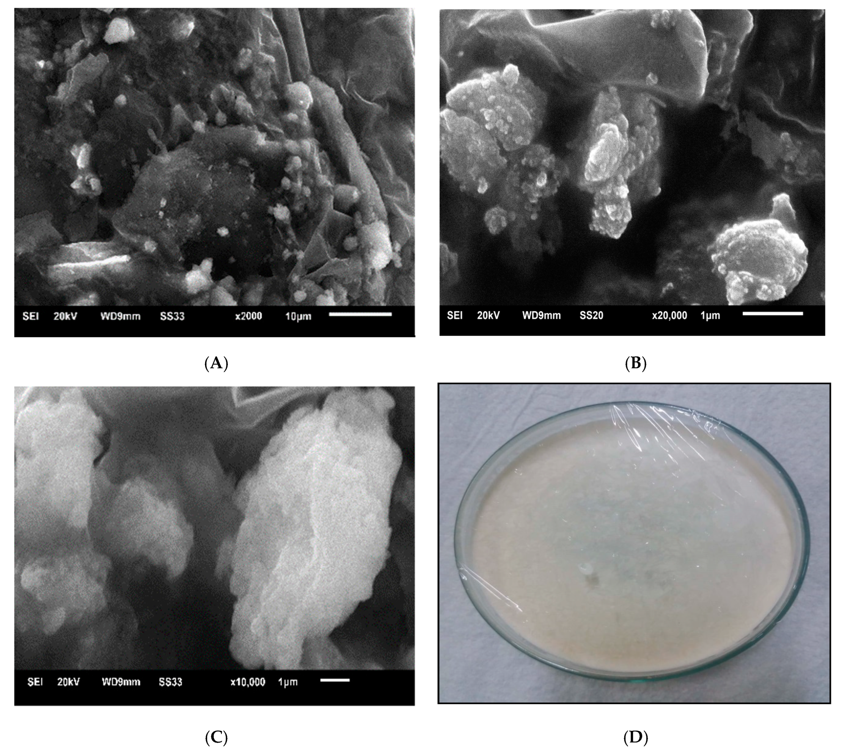 Engproc 67 00022 g001