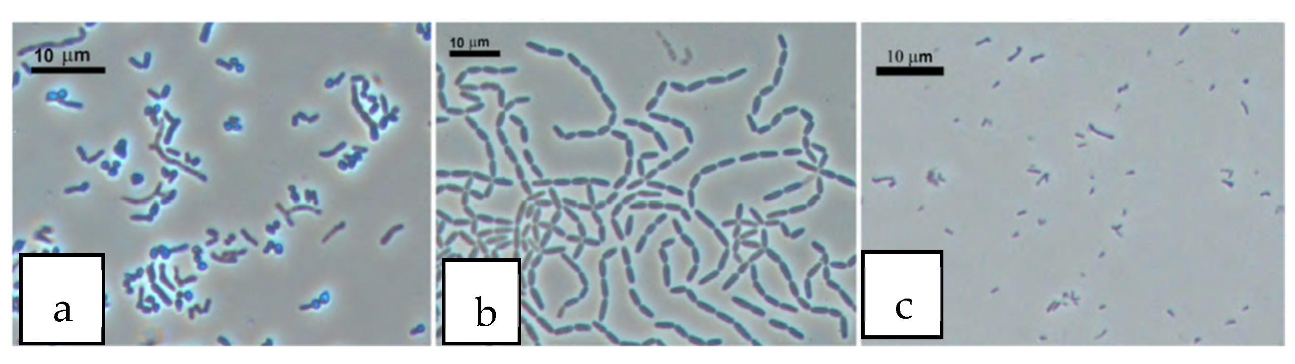 Engproc 67 00025 g001