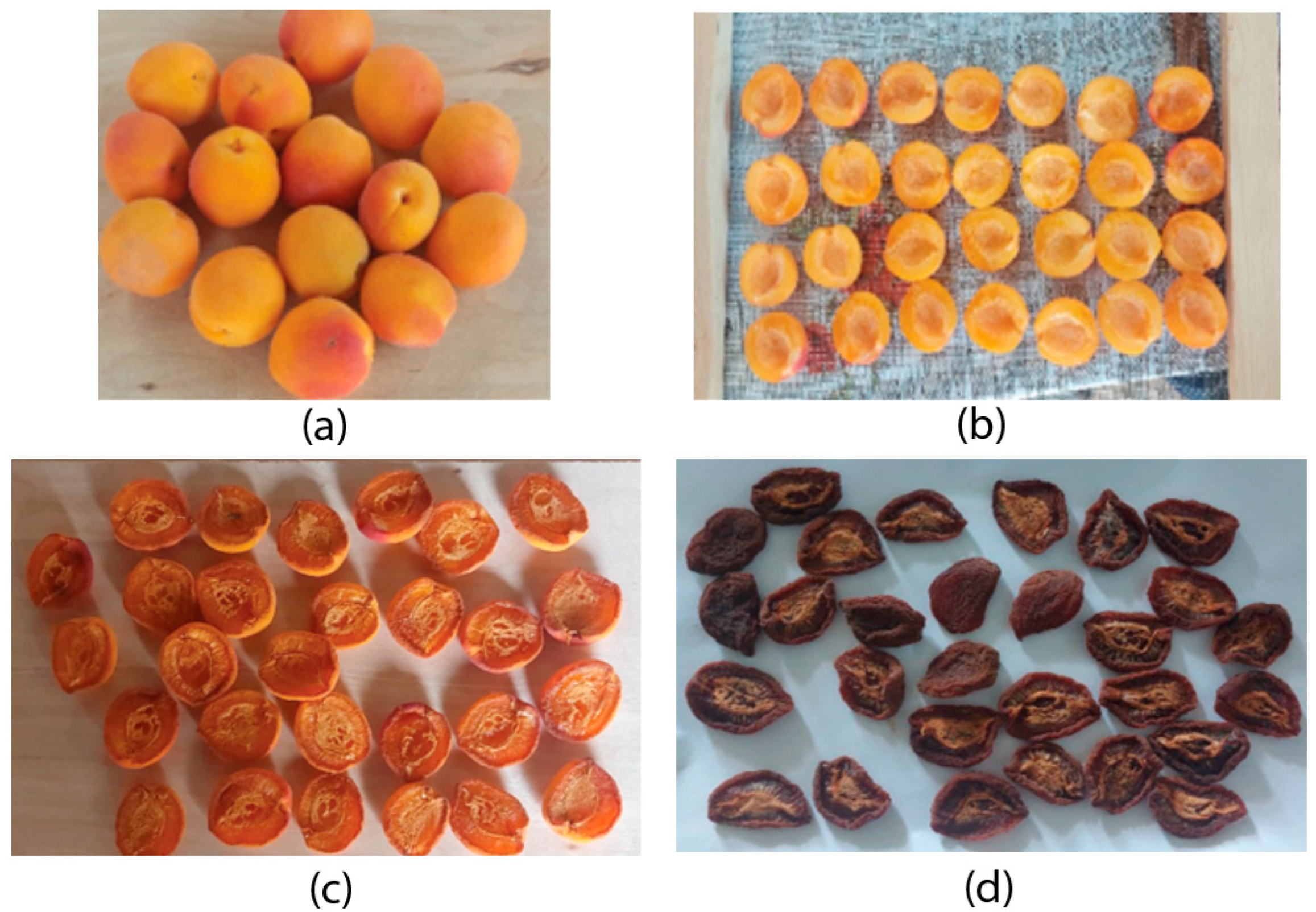 Engproc 67 00026 g005