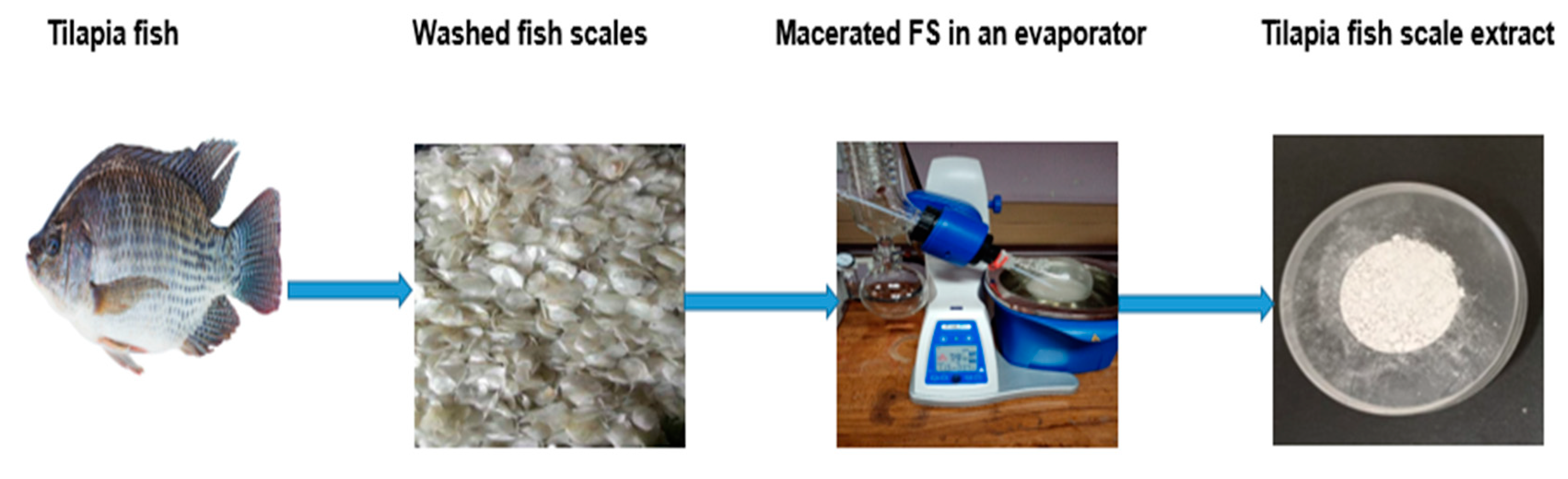 Engproc 67 00034 g001