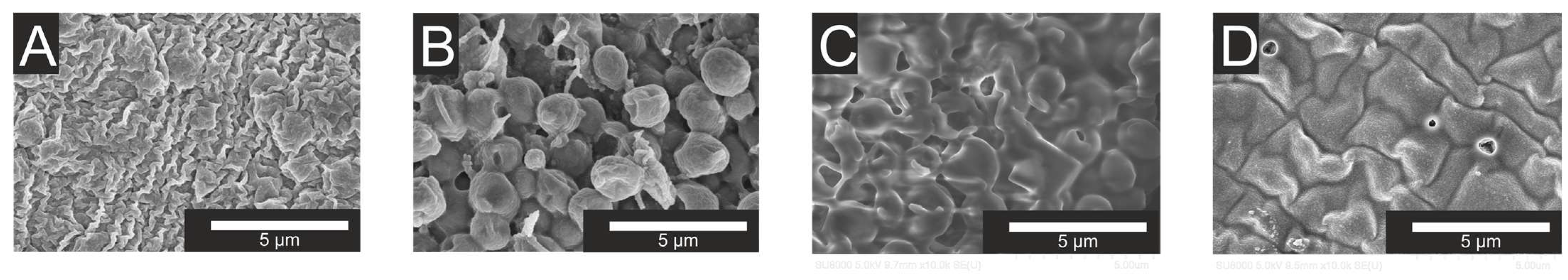 Engproc 67 00045 g004