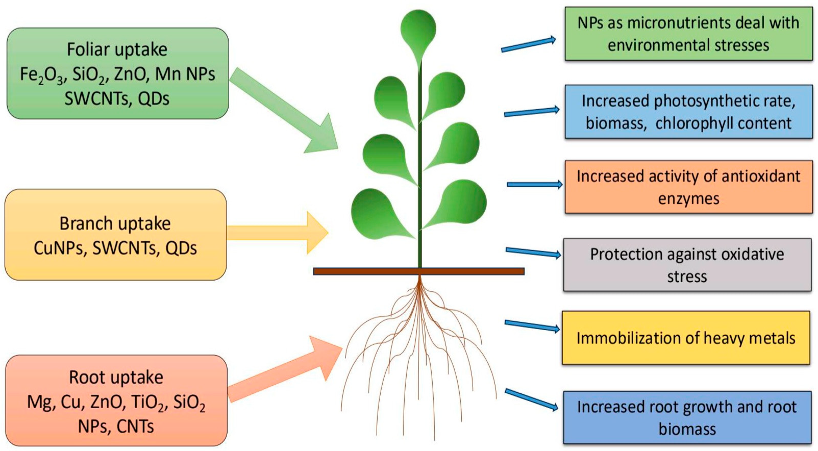 Engproc 67 00048 g001