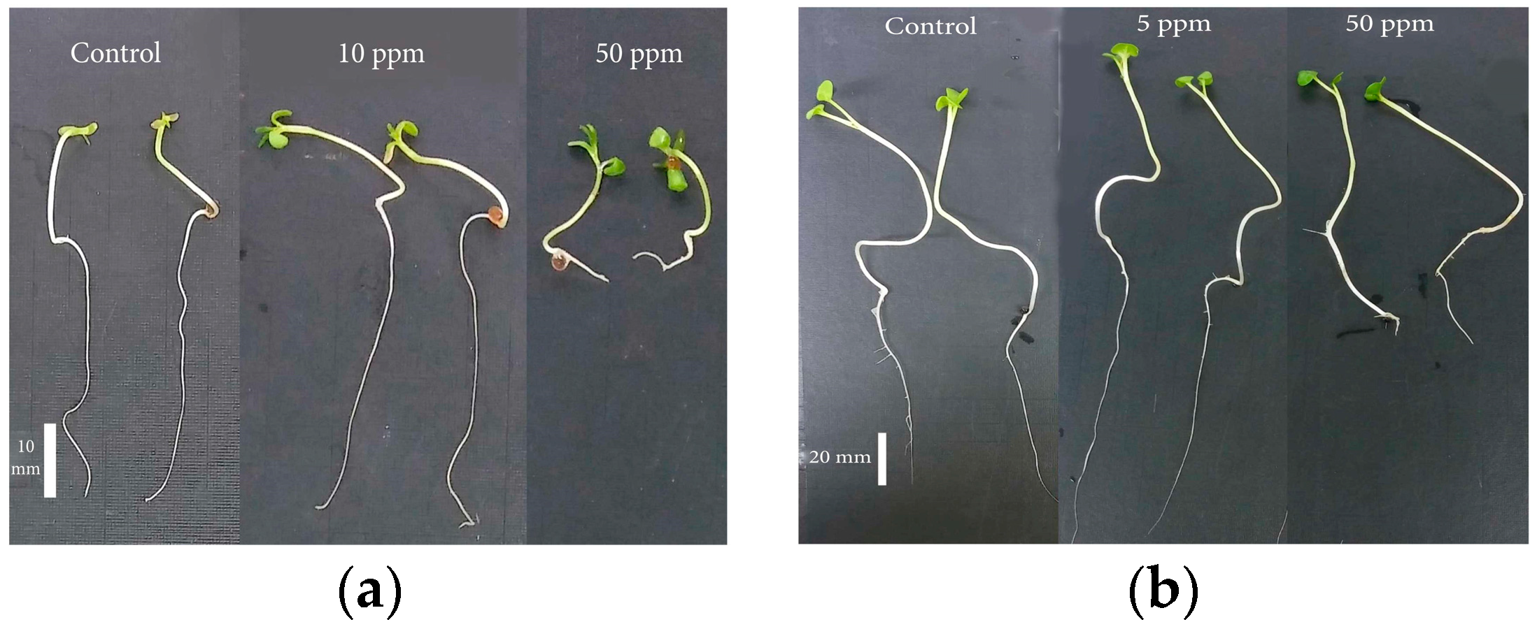 Engproc 67 00048 g004