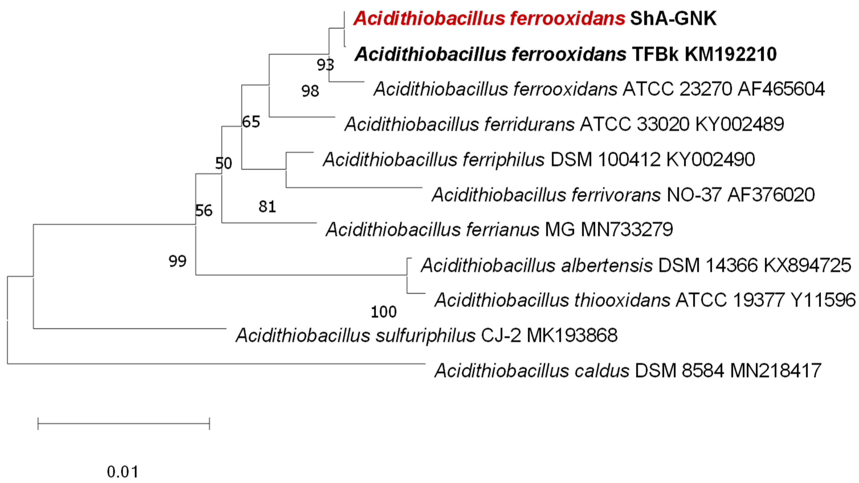 Engproc 67 00060 g001 Engproc 67 00060 g001