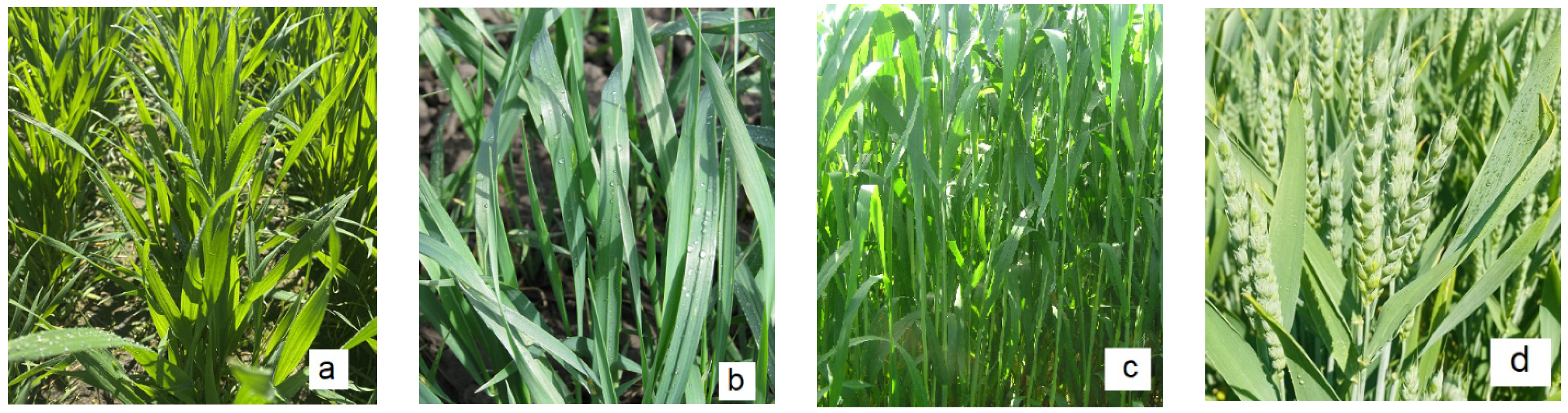 Engproc 67 00062 g007