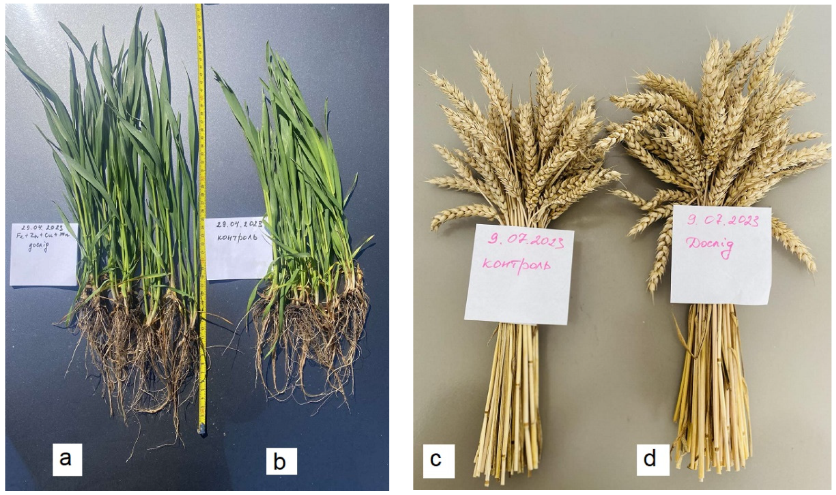 Engproc 67 00062 g008