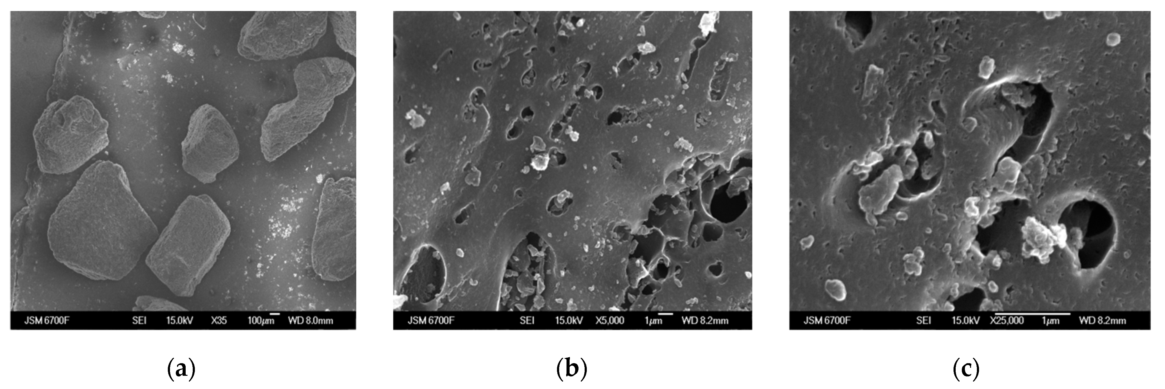 Engproc 67 00084 g004