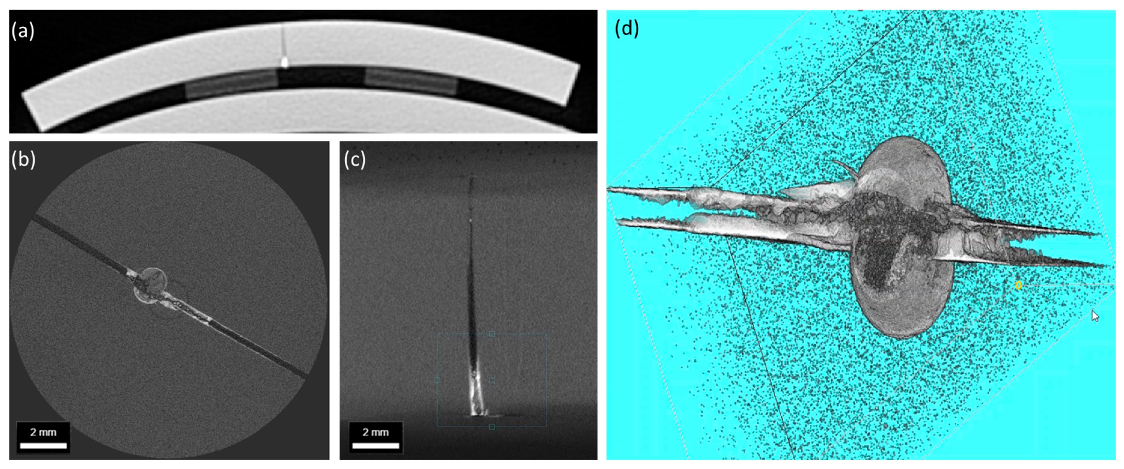 Engproc 69 00022 g003