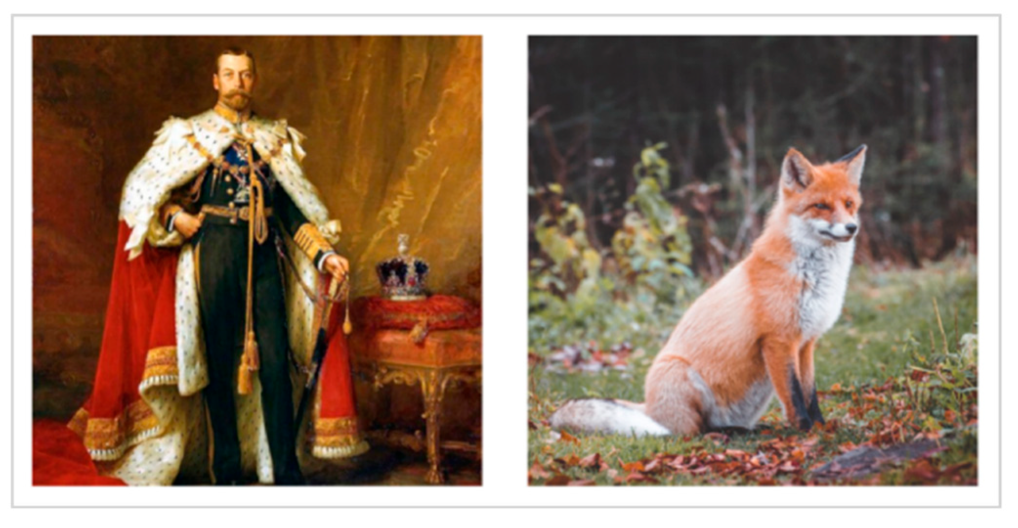 Engproc 74 00058 g001