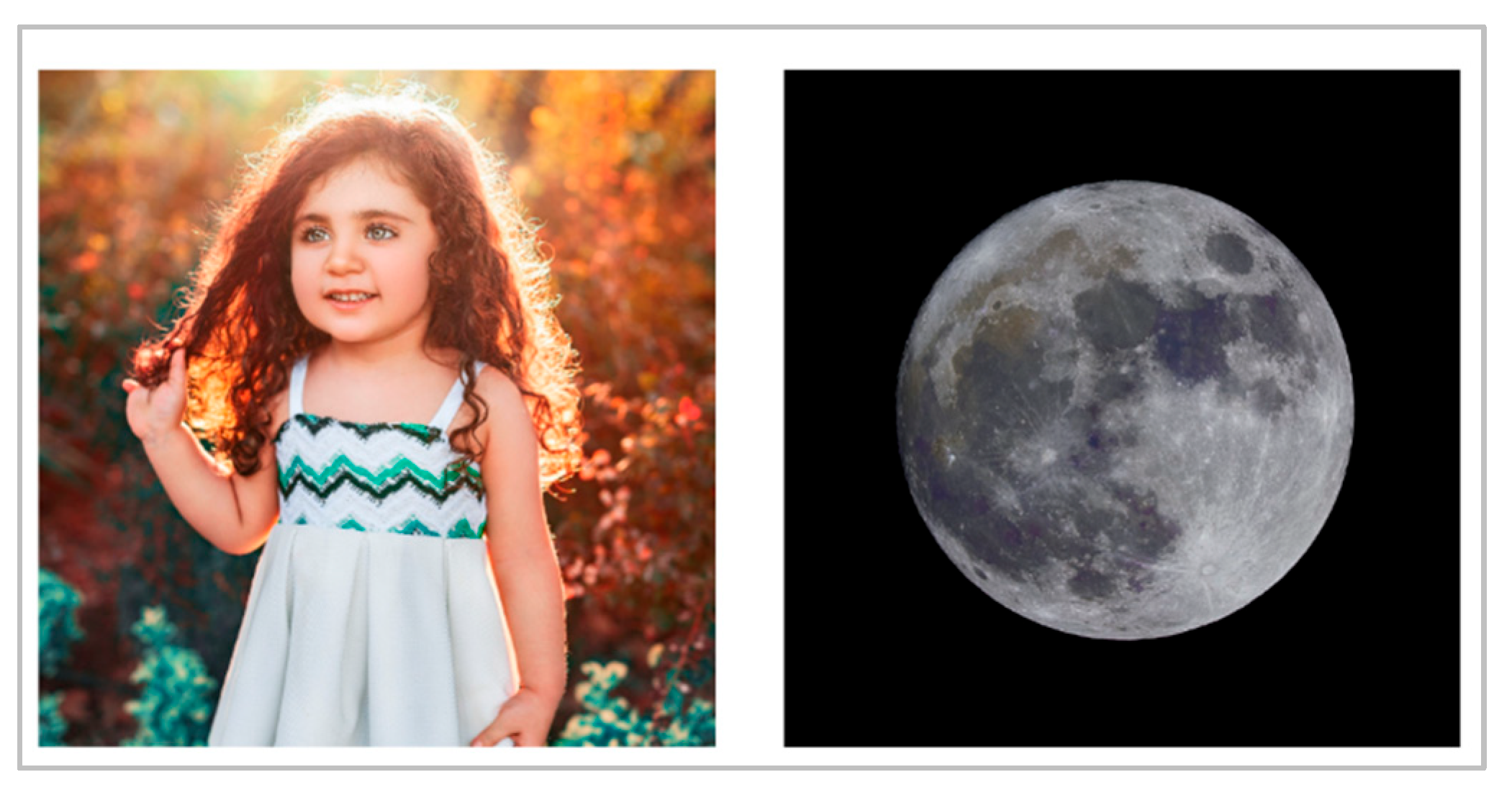 Engproc 74 00058 g002