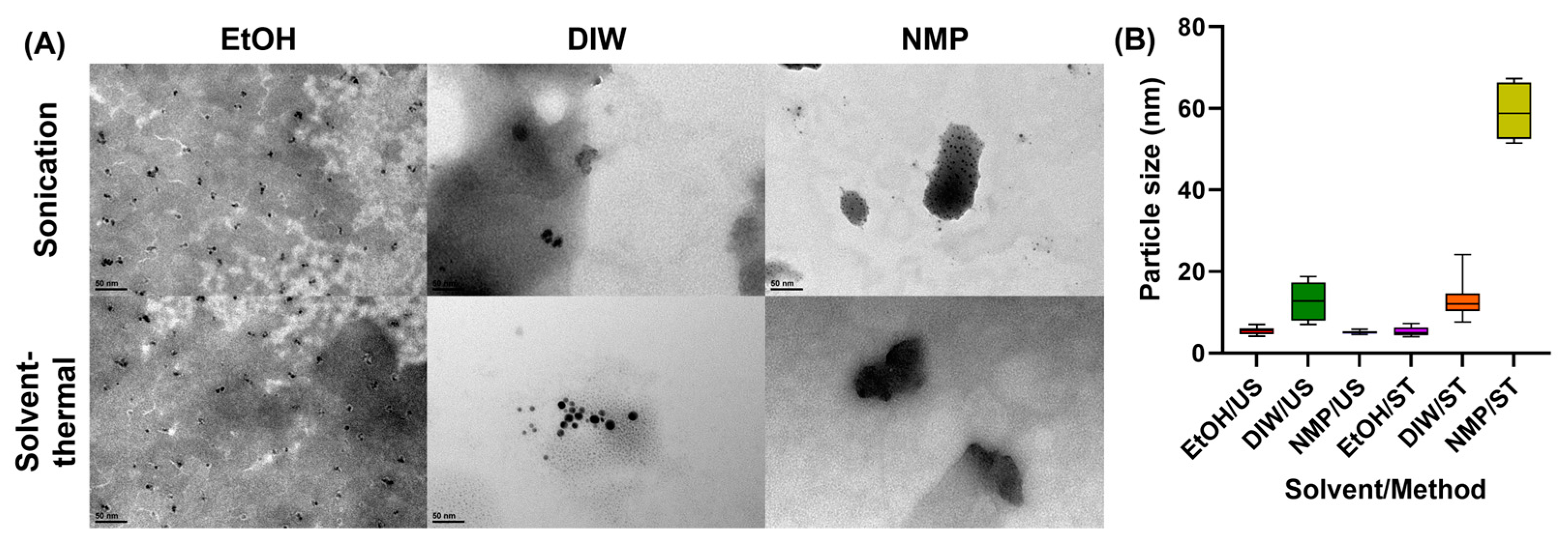 Engproc 74 00069 g003