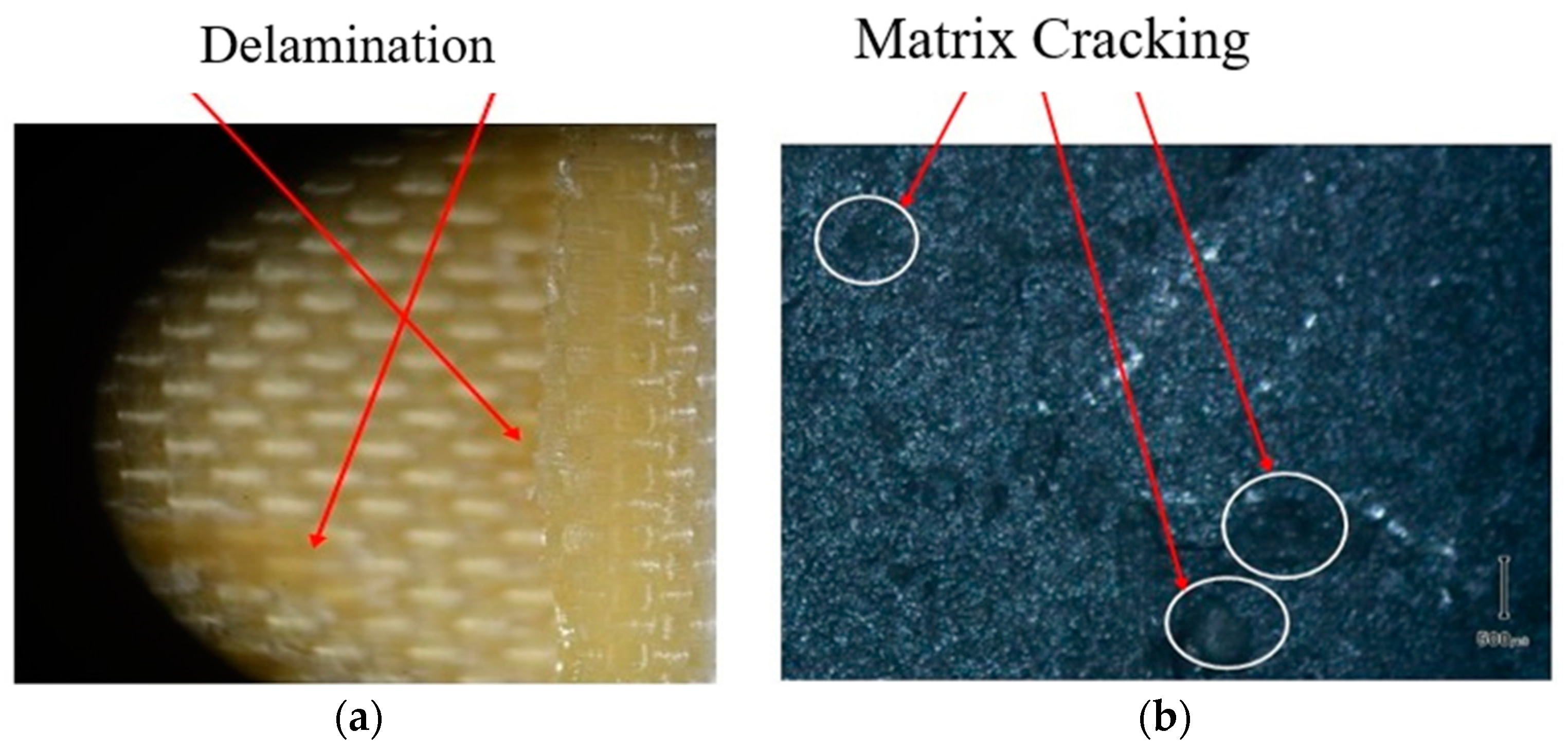 Engproc 75 00005 g006