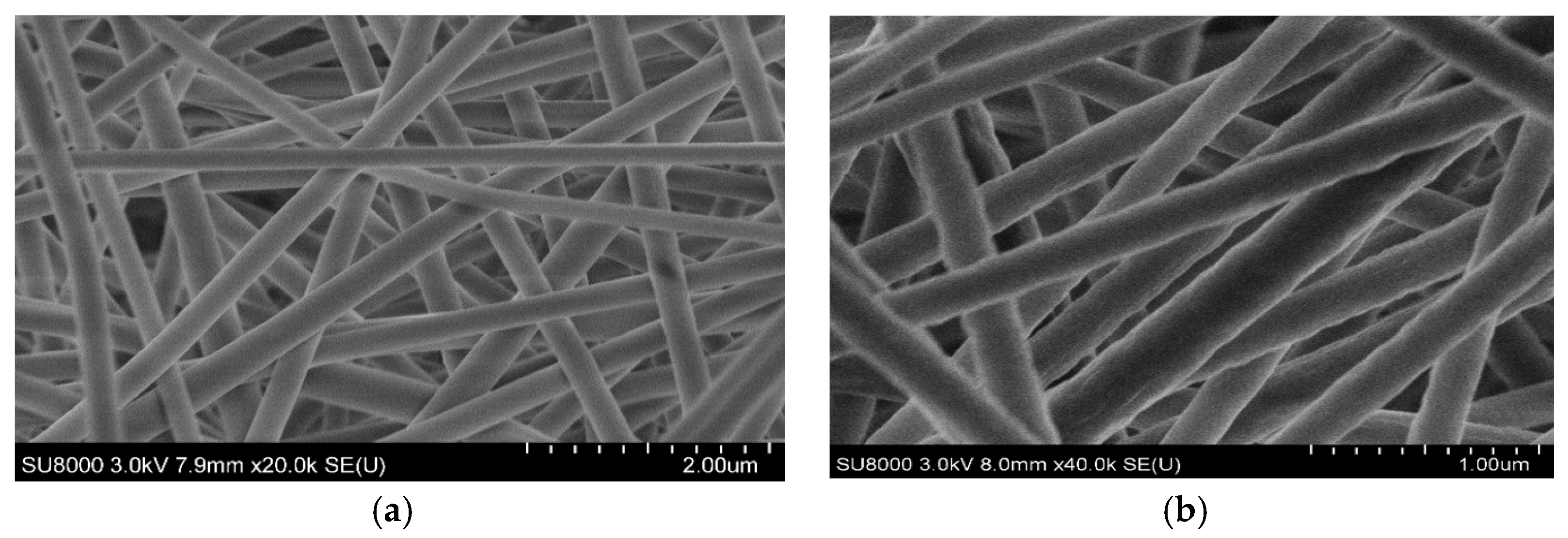 Engproc 76 00066 g003