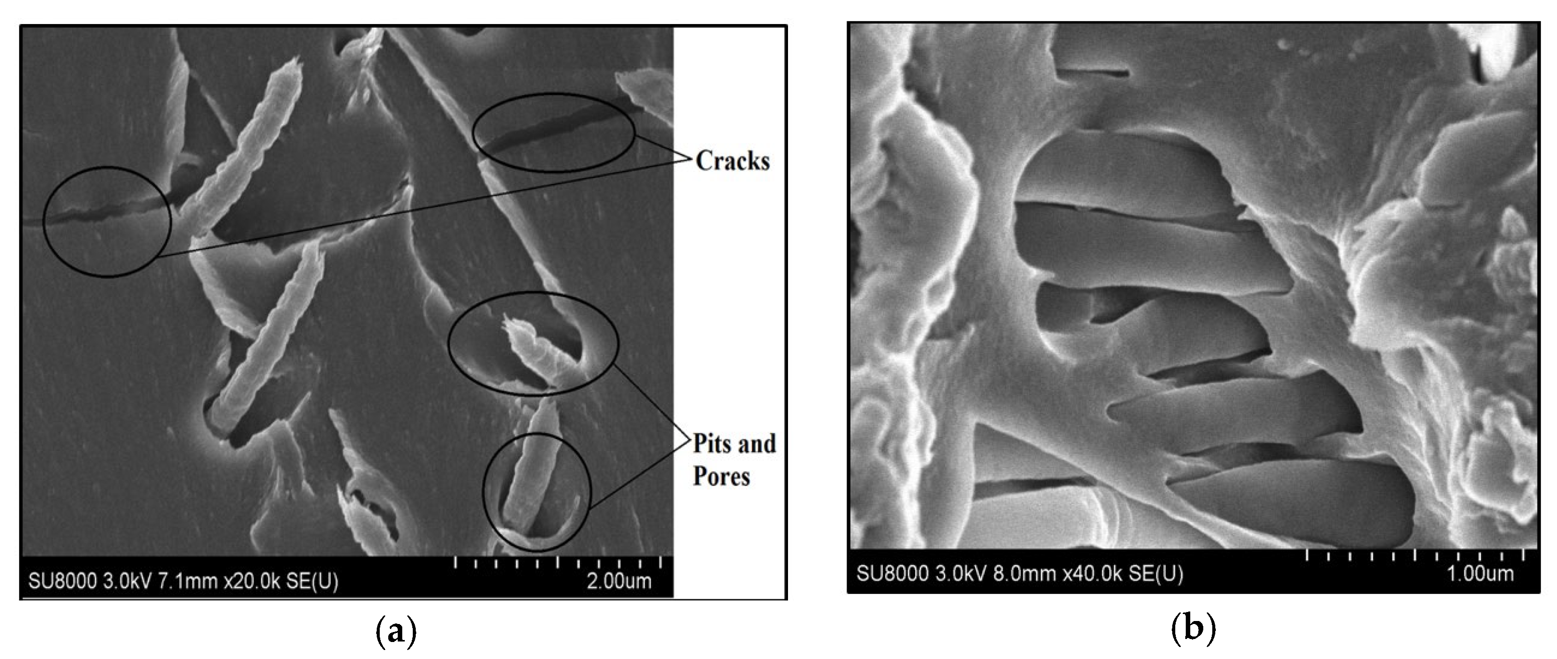 Engproc 76 00066 g005