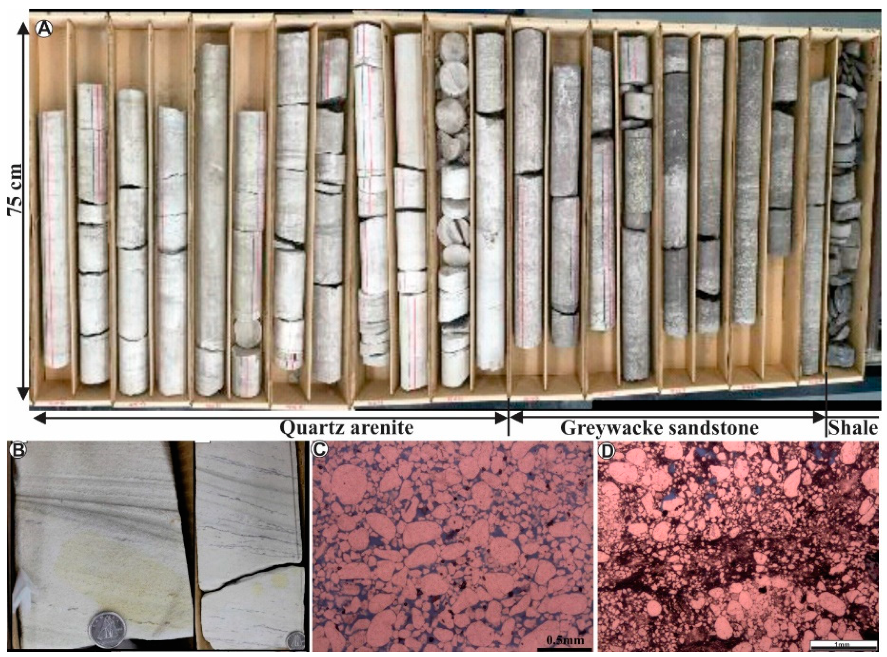 Engproc 76 00104 g003