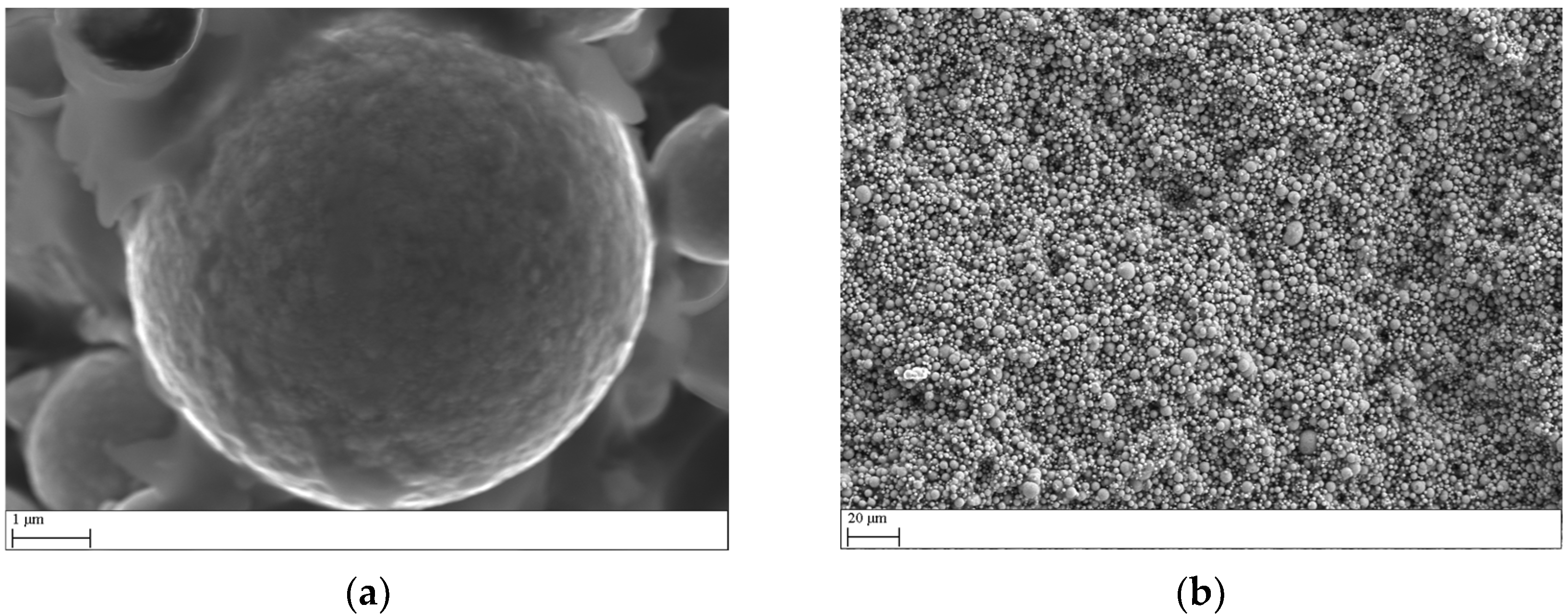 Engproc 79 00009 g003