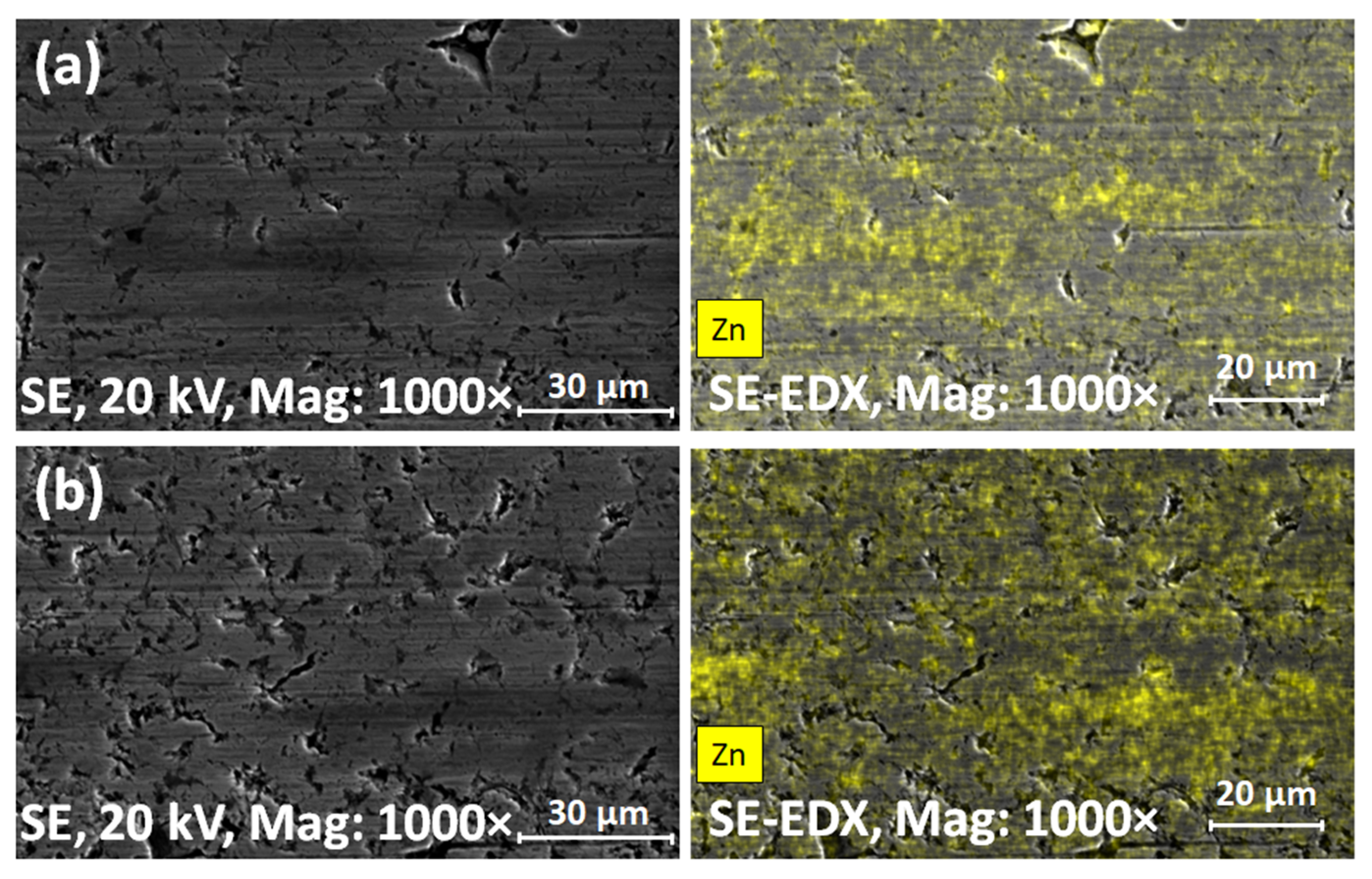 Engproc 79 00087 g003