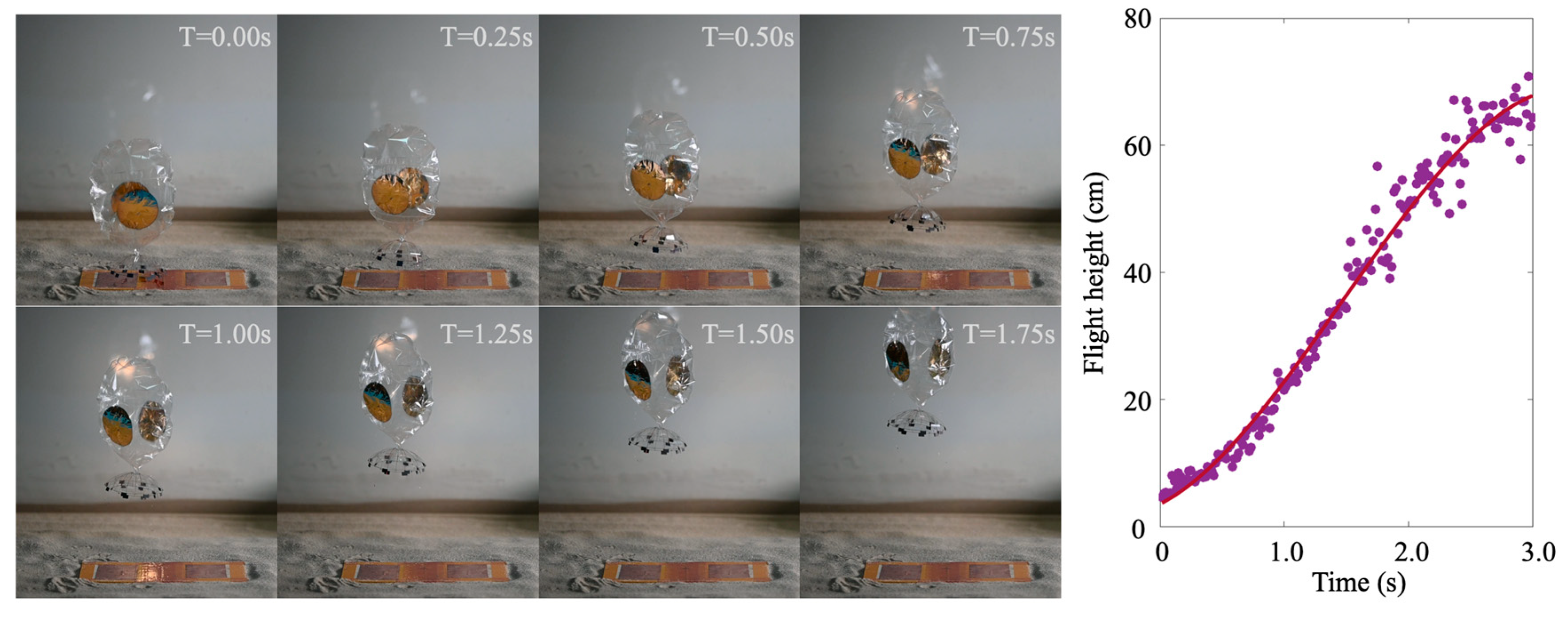 Engproc 80 00008 g007