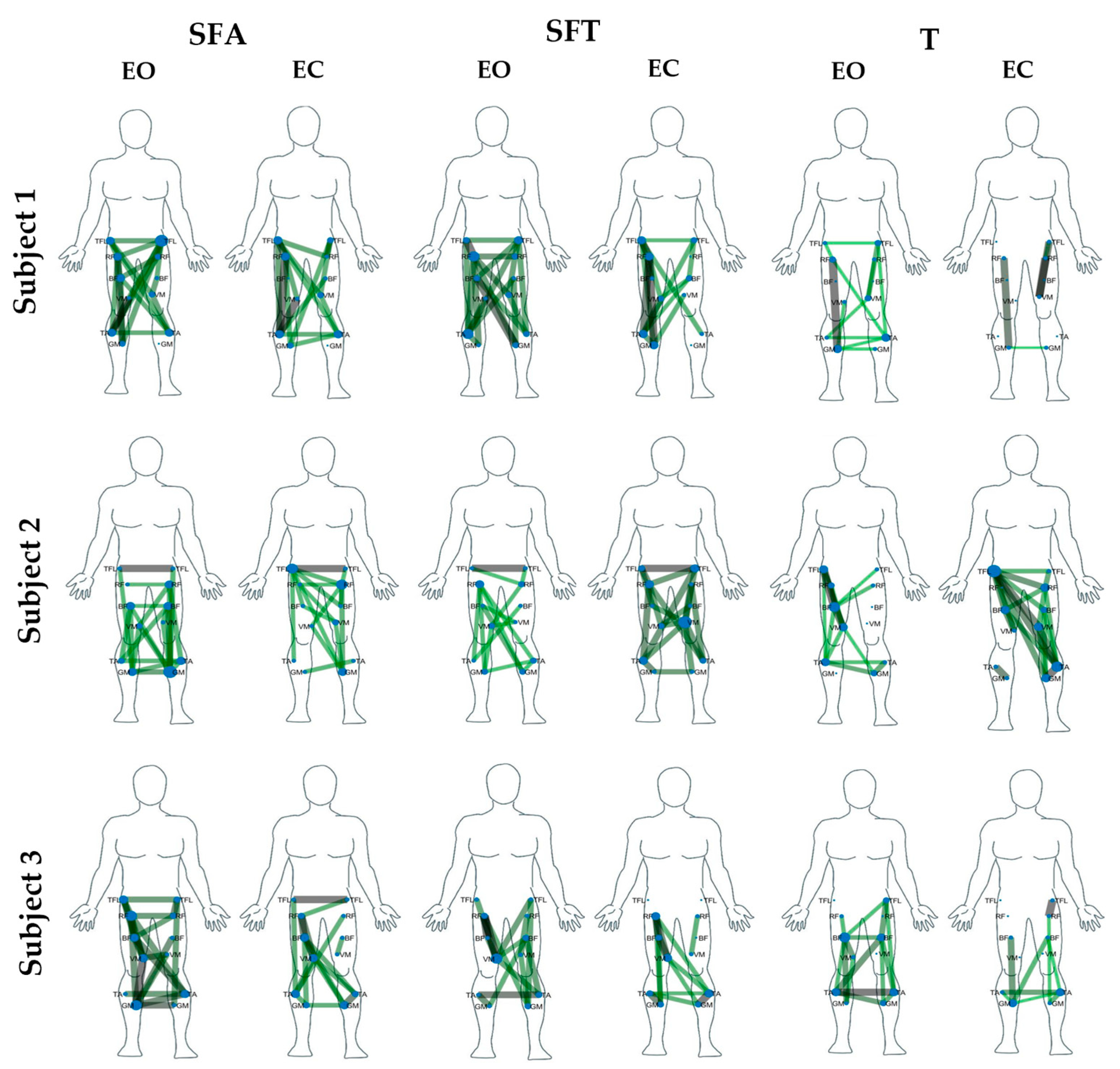 Engproc 81 00006 g005