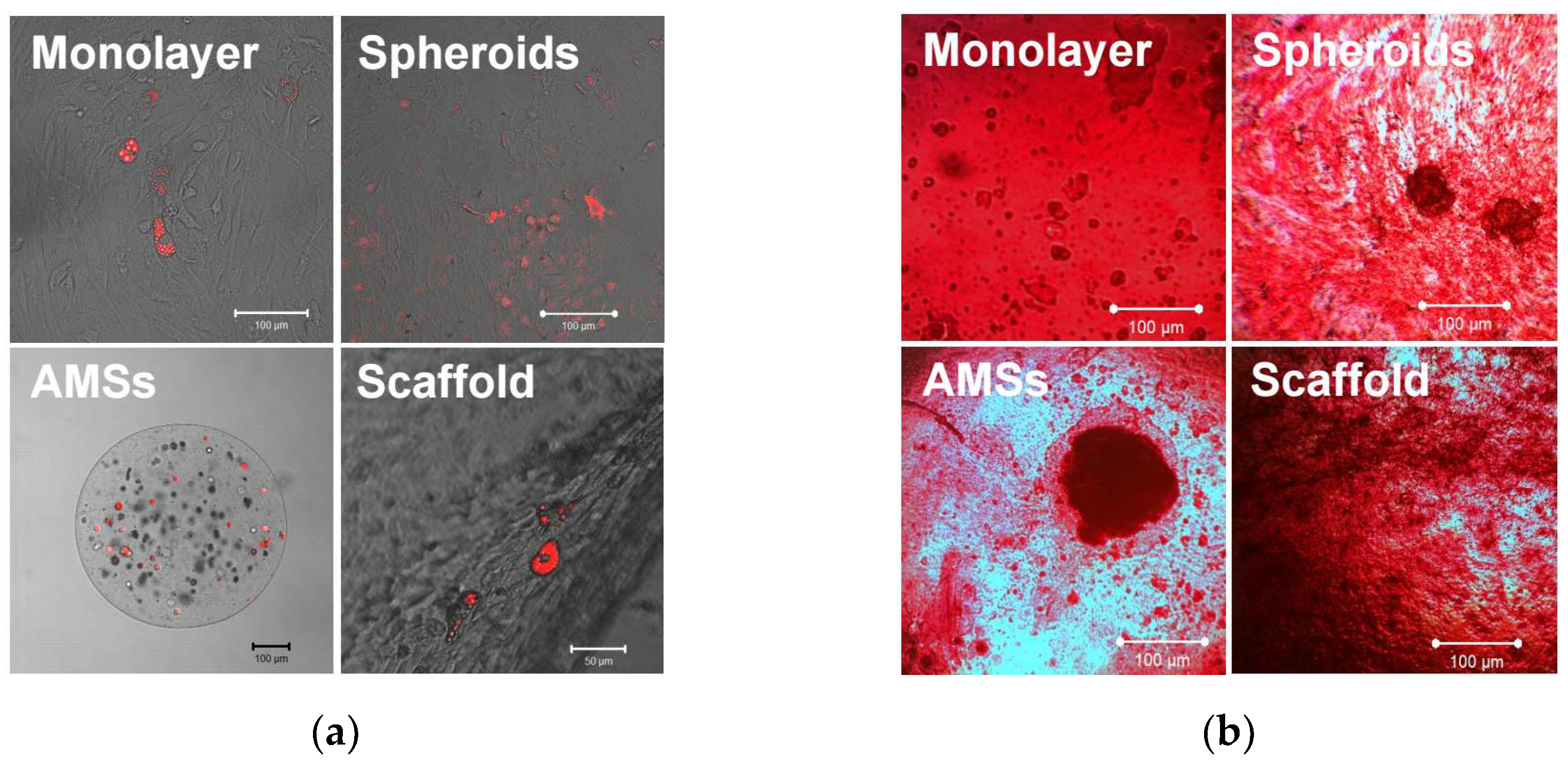 Engproc 81 00008 g003