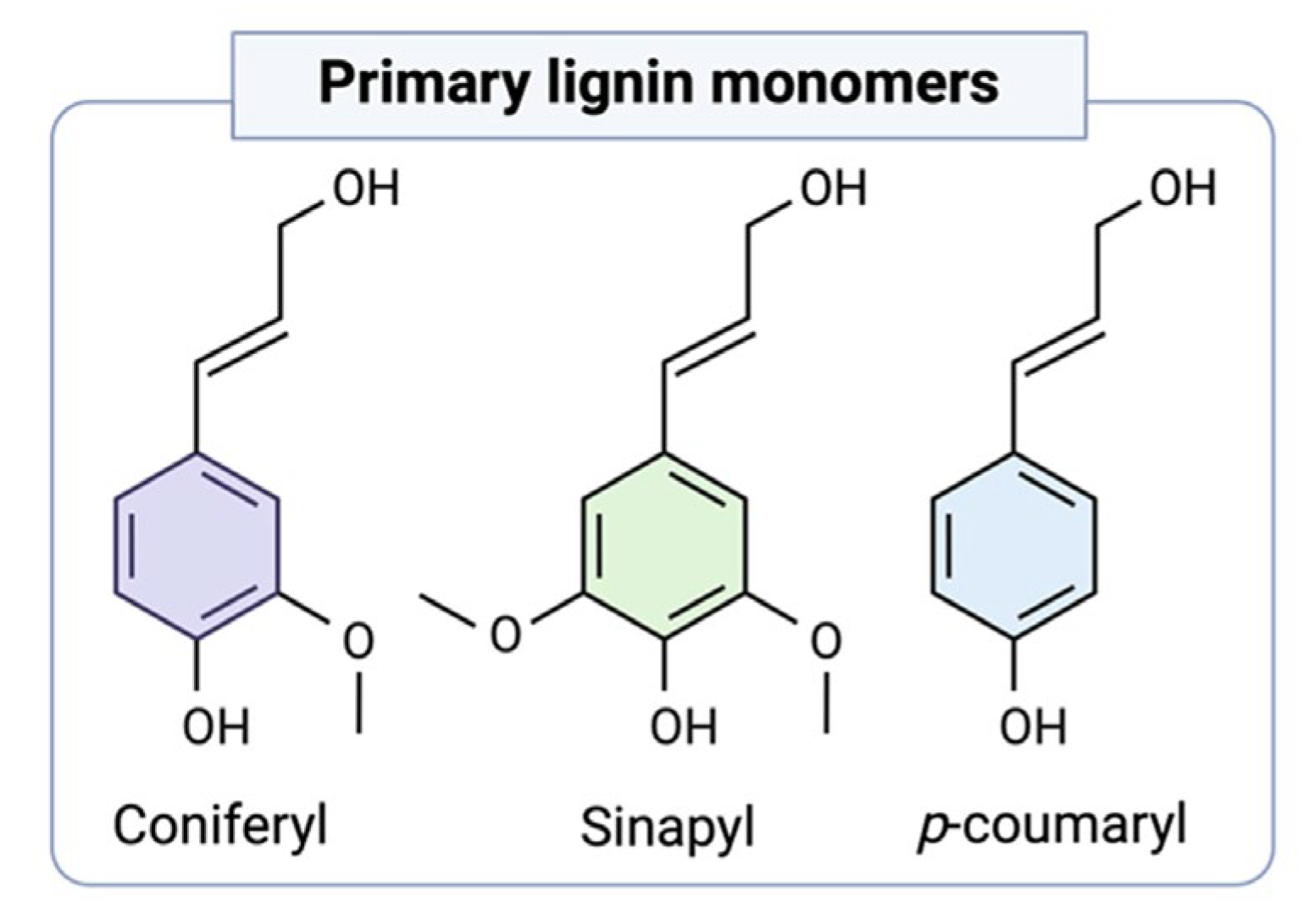 Engproc 81 00017 g002