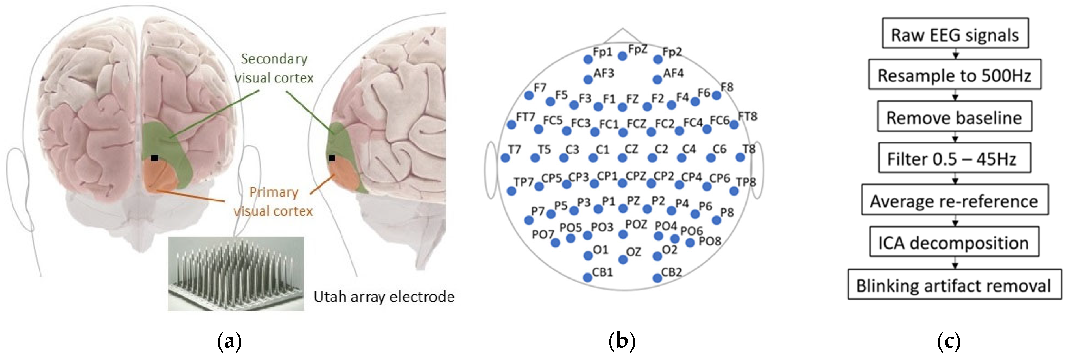 Engproc 81 00020 g001