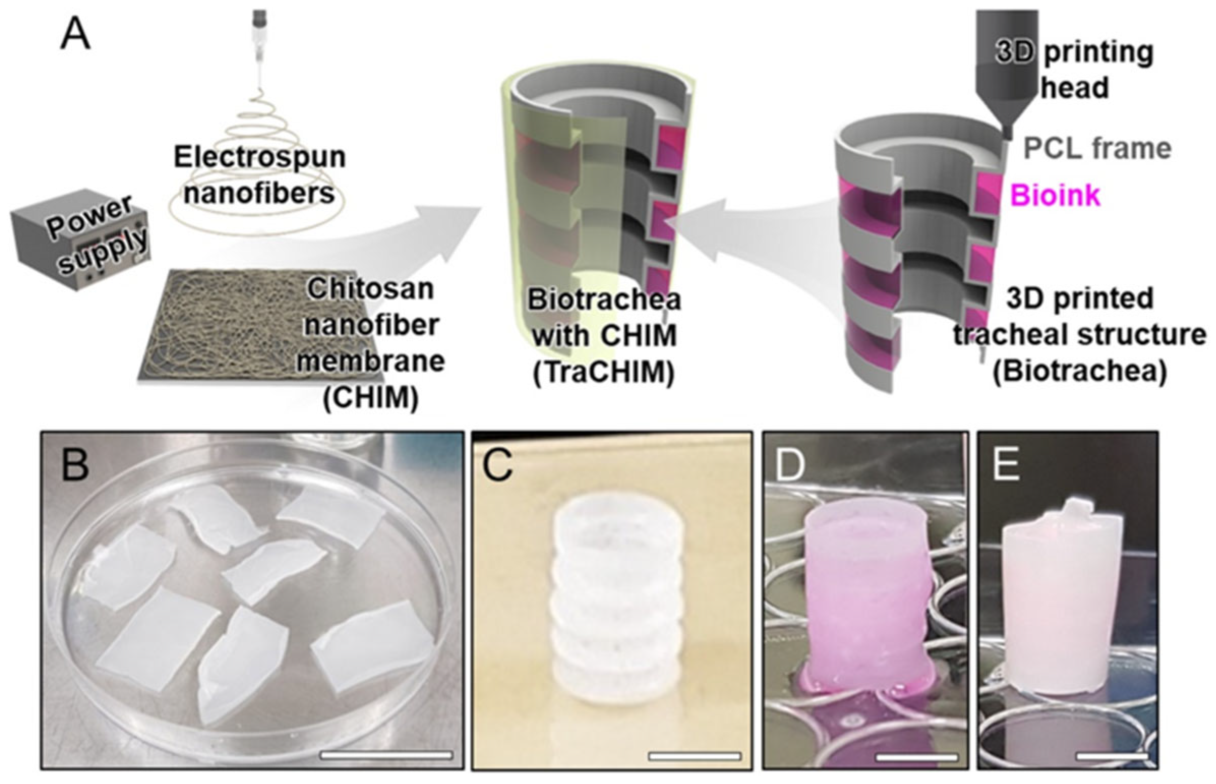 Engproc 81 00021 g003