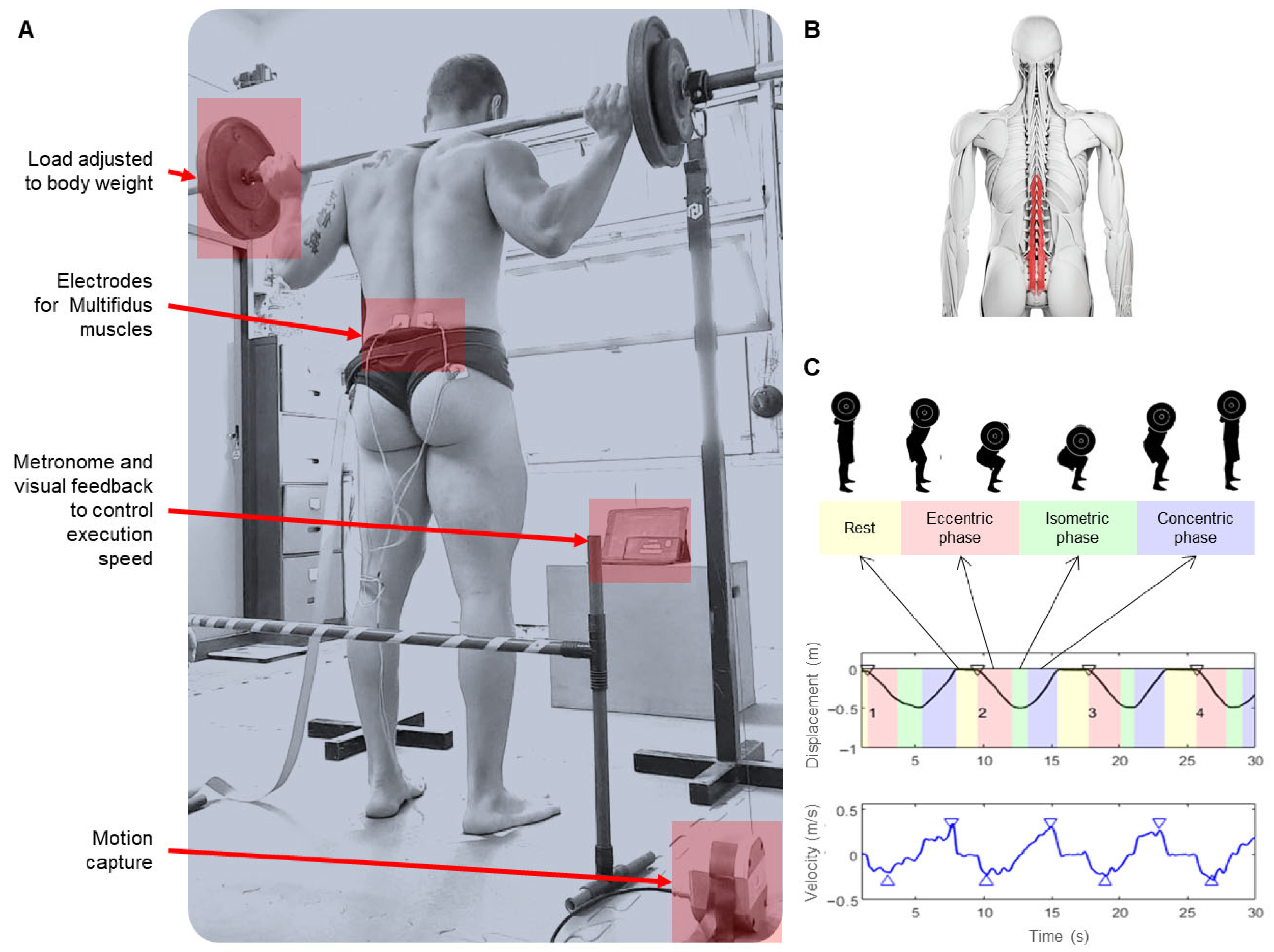 Engproc 81 00023 g001