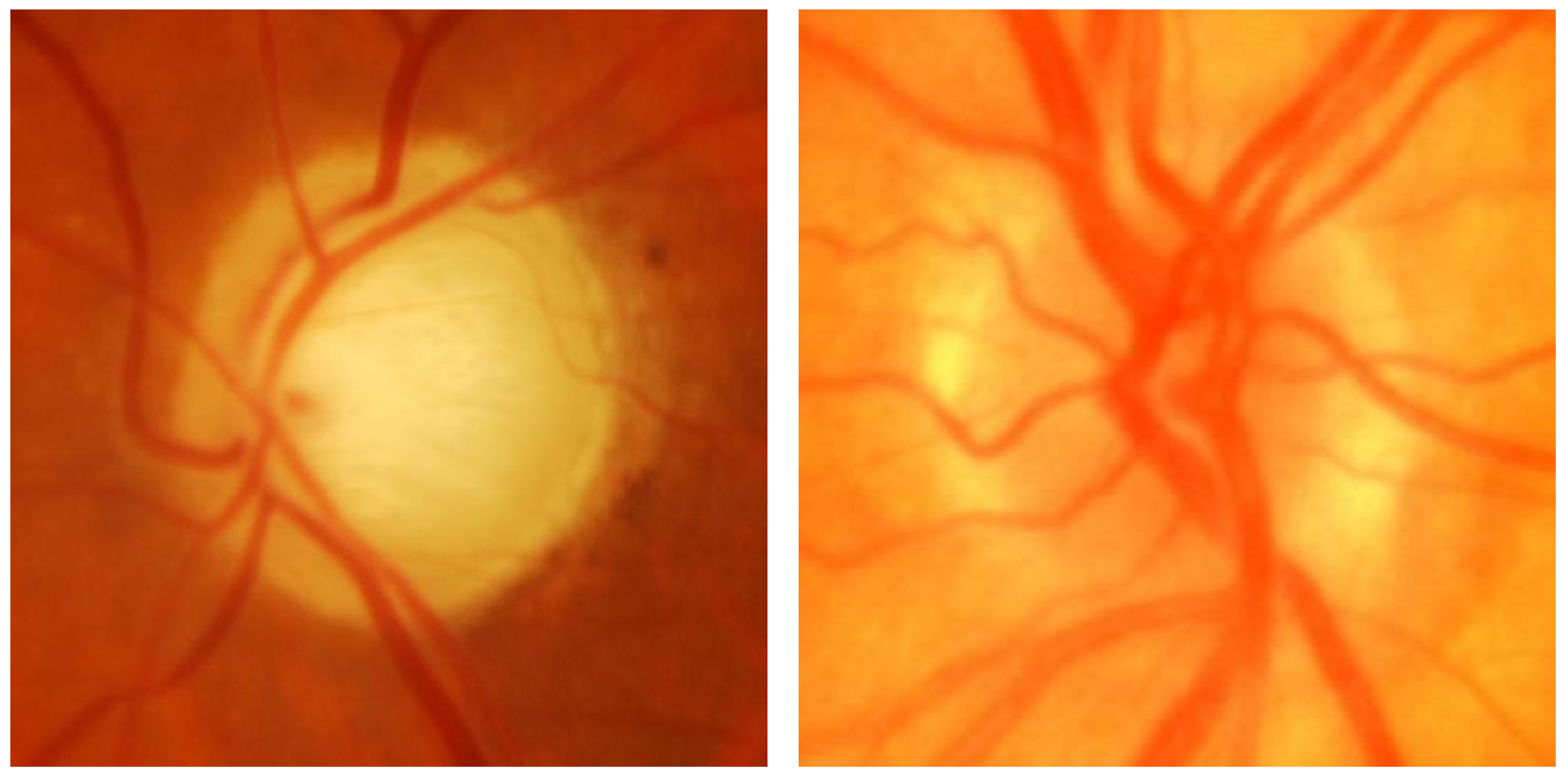 Engproc 82 00033 g001