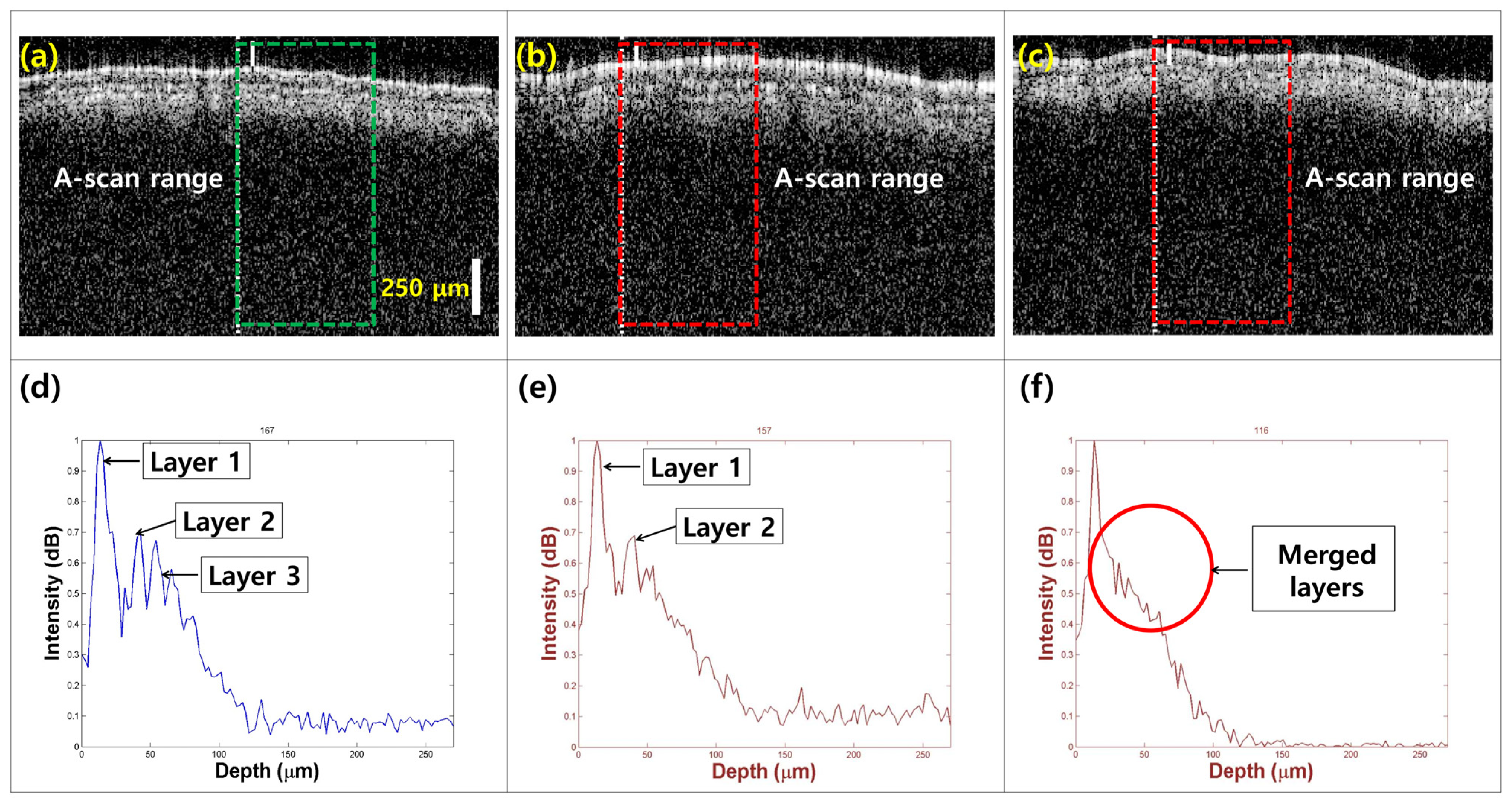 Engproc 82 00045 g004