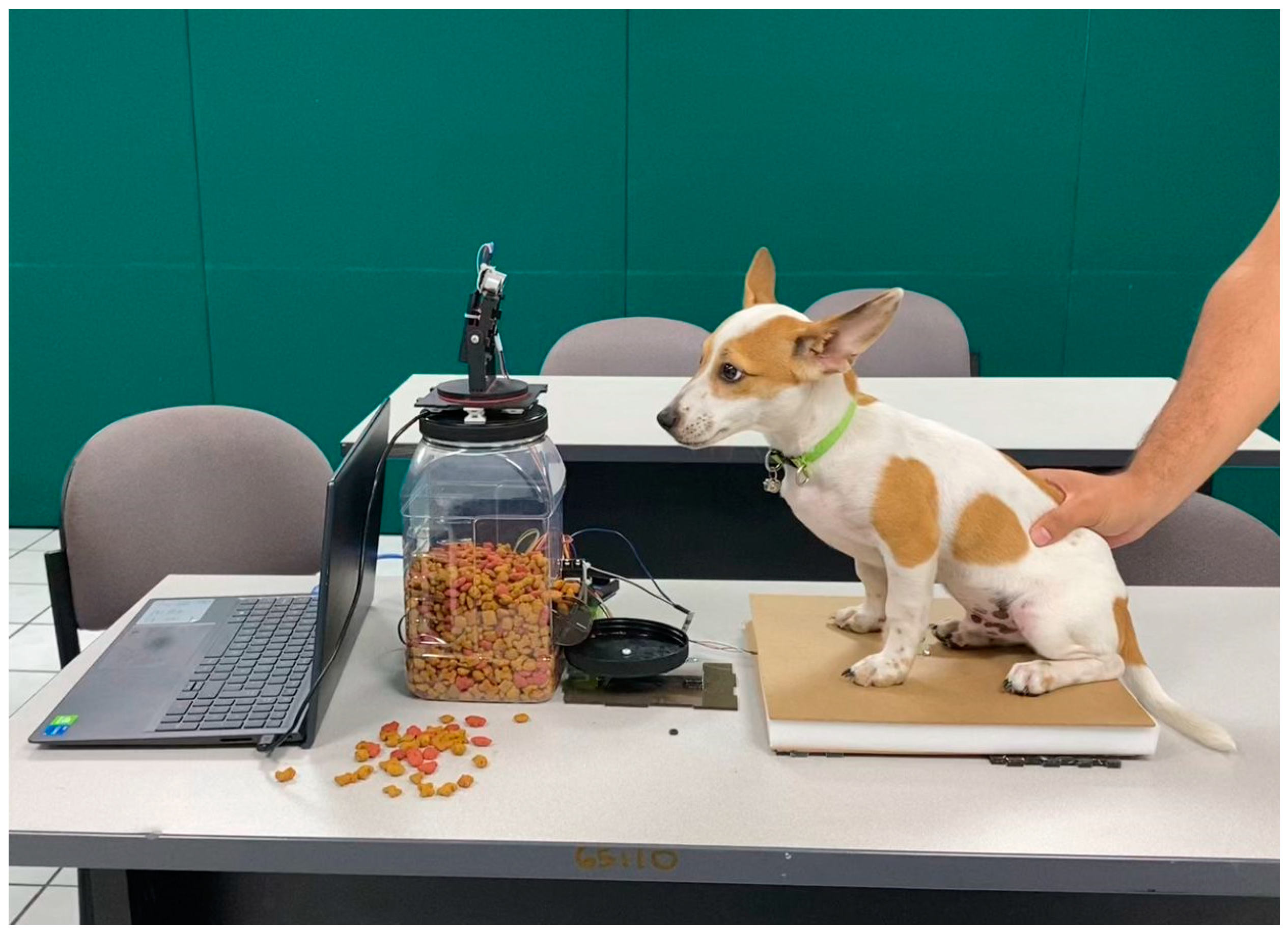 Engproc 82 00063 g002